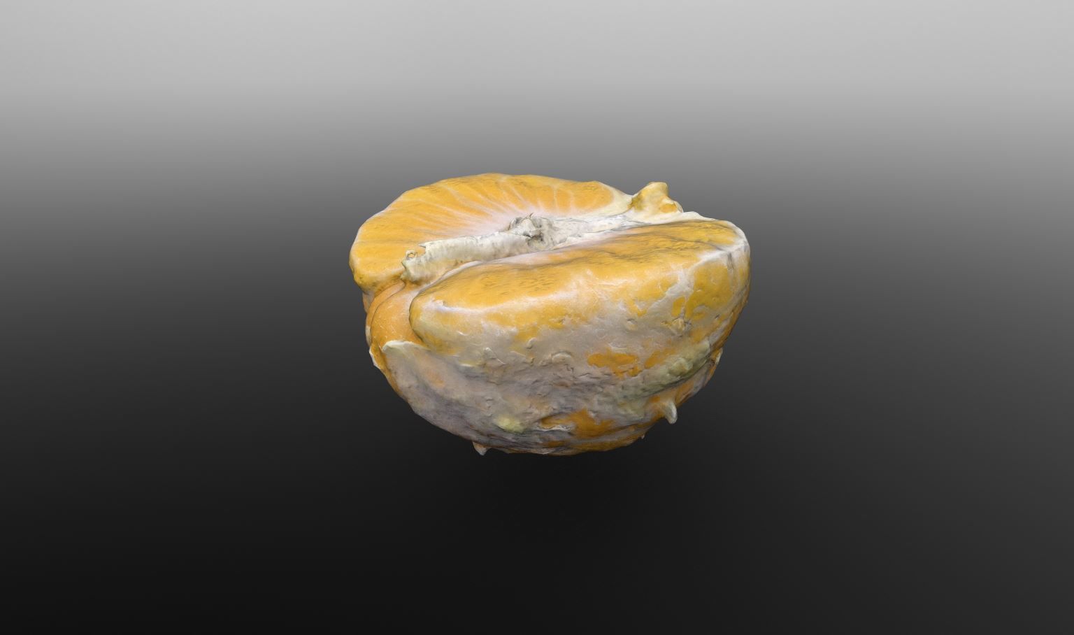 Half Clementine 3D Scan for Unreal and Unity and FBX Low-poly 3D model_8