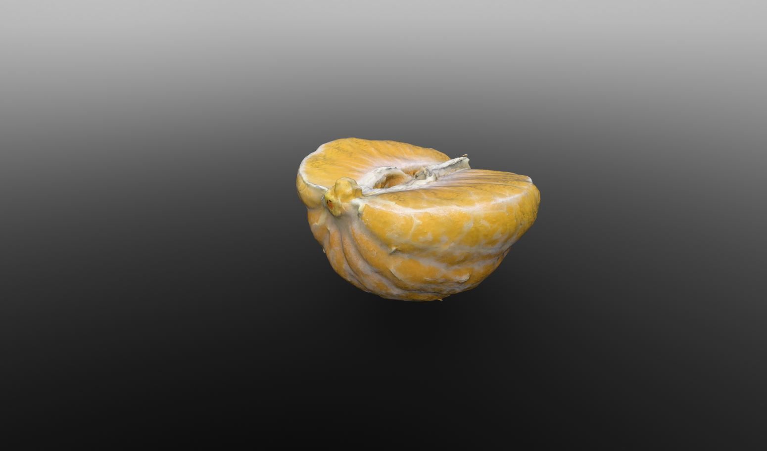 Half Clementine 3D Scan for Unreal and Unity and FBX Low-poly 3D model_3