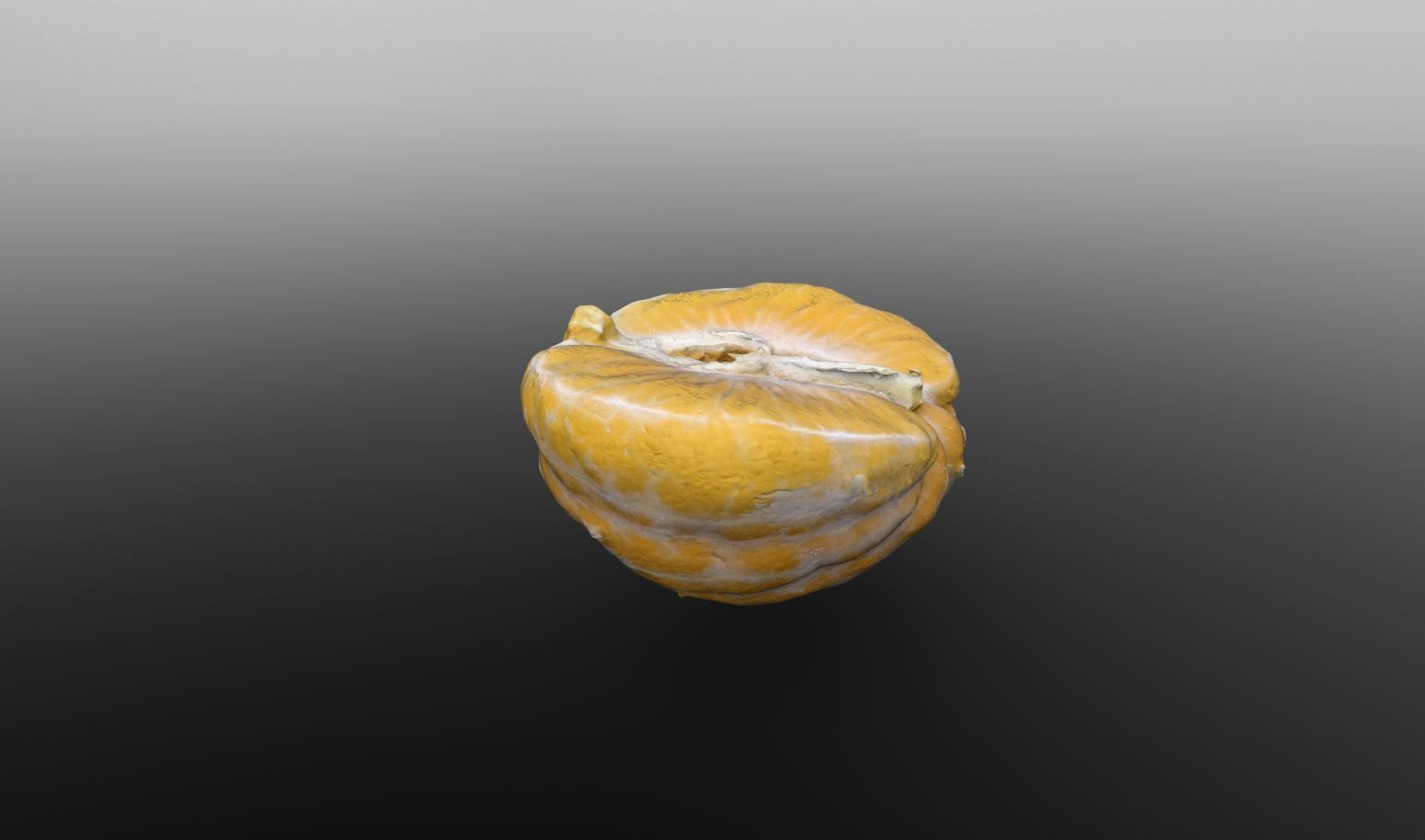 Half Clementine 3D Scan for Unreal and Unity and FBX Low-poly 3D model_5