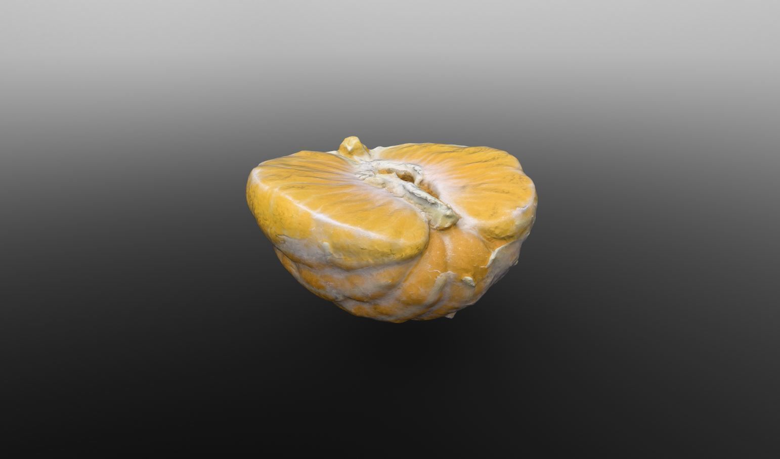 Half Clementine 3D Scan for Unreal and Unity and FBX Low-poly 3D model_6
