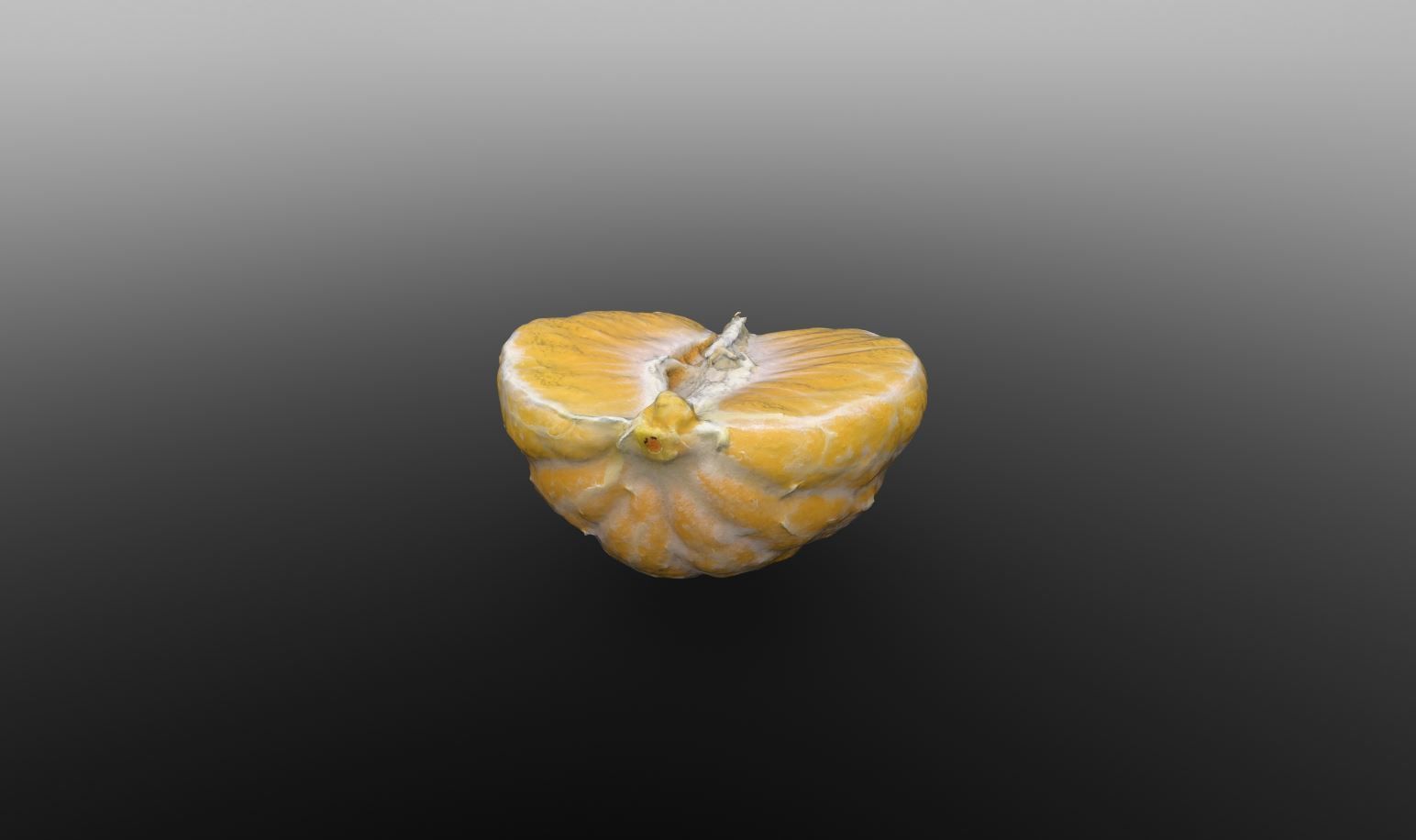 Half Clementine 3D Scan for Unreal and Unity and FBX Low-poly 3D model_2