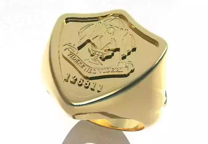 Commemorative ring  3D print model