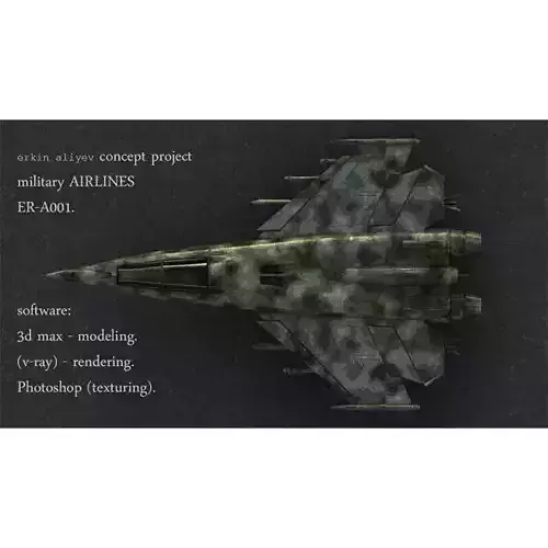 Fighter camouflaged jet 3D model