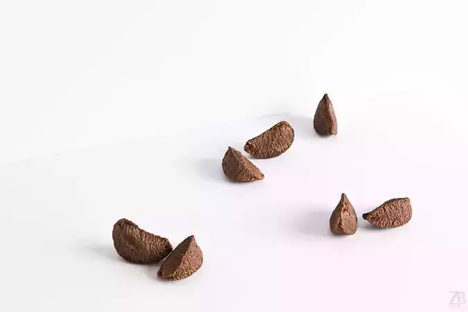Brazil Nut