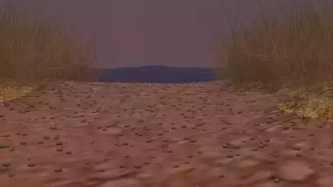 A land near water with tall grass