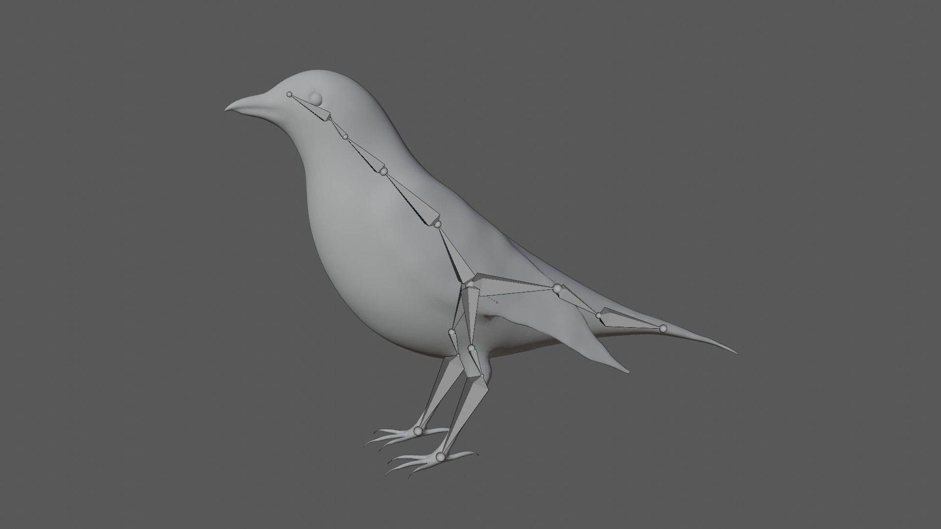 Mocking bird Low-poly 3D model_7