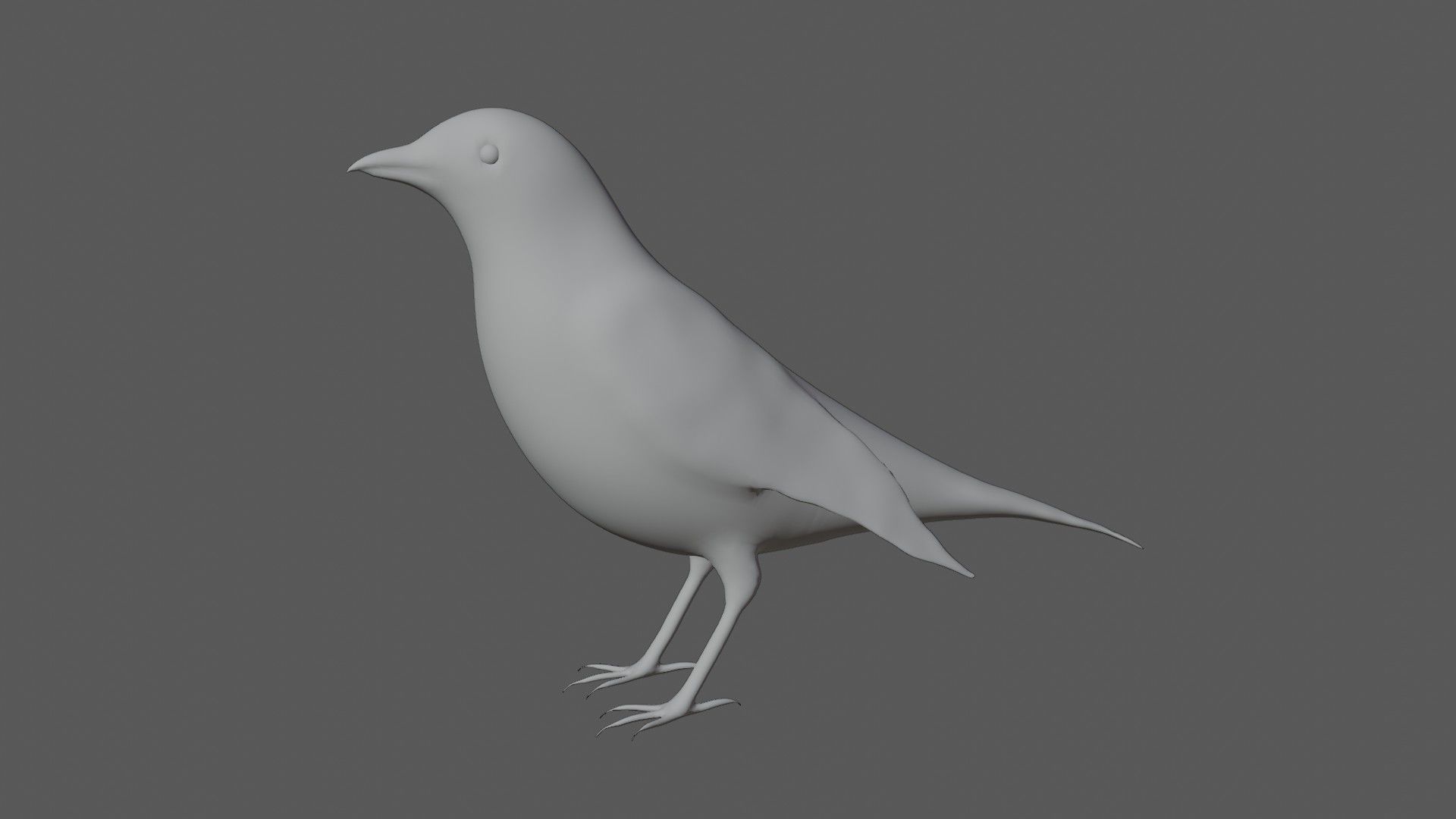 American Robin Low-poly 3D model_6
