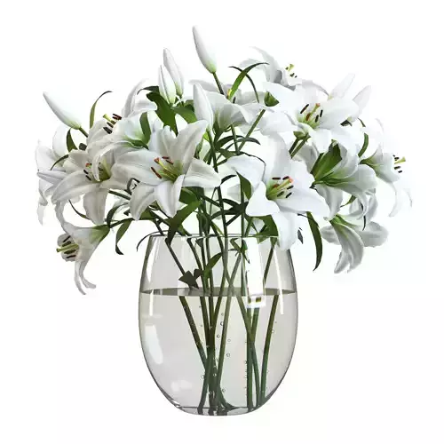 Flower Set 01 - White Lilies 3D model