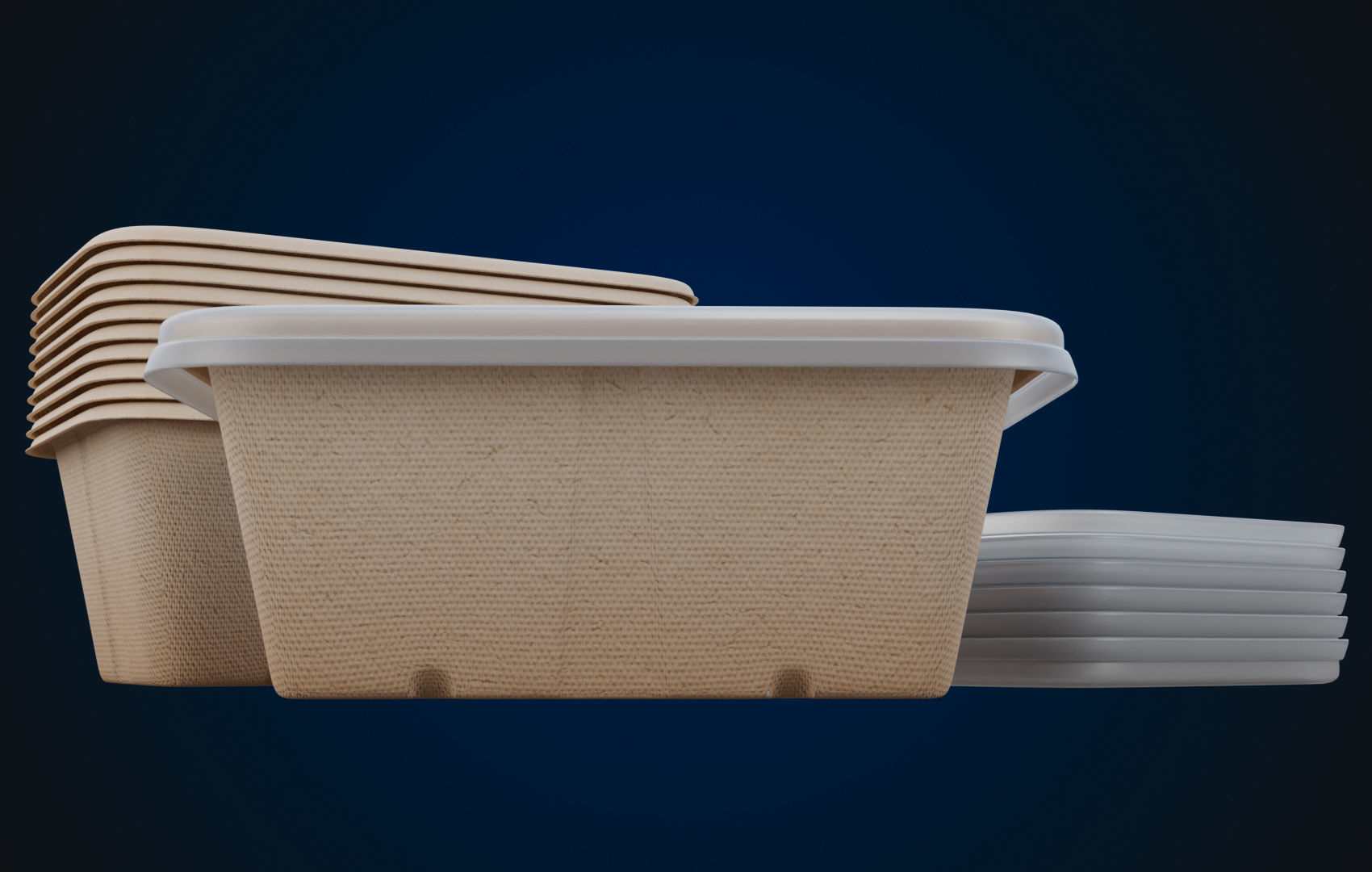 Box Food Cardboard Container - Disposable 3D model_5