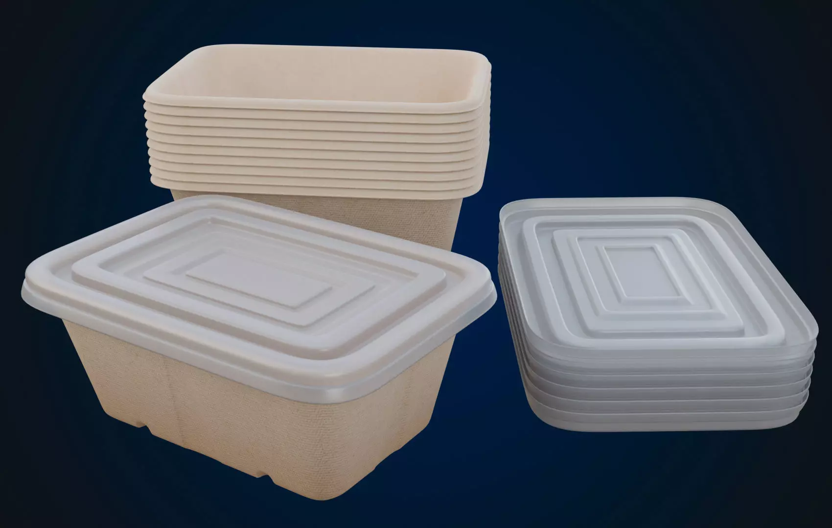 Box Food Cardboard Container - Disposable 3D model_0