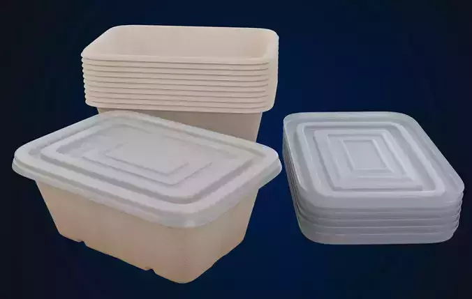 Box Food Cardboard Container - Disposable 3D model