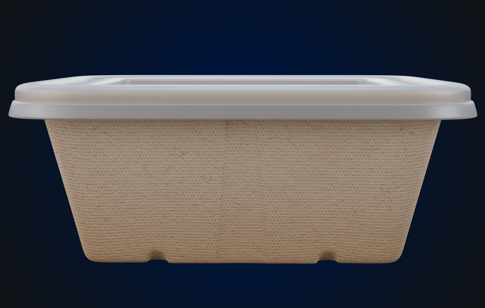 Box Food Cardboard Container - Disposable 3D model_3