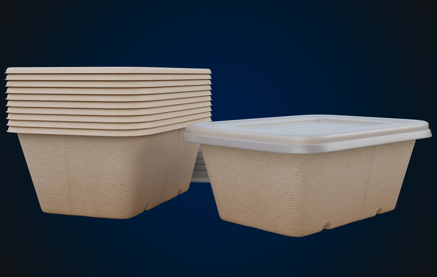 Box Food Cardboard Container - Disposable 3D model_14
