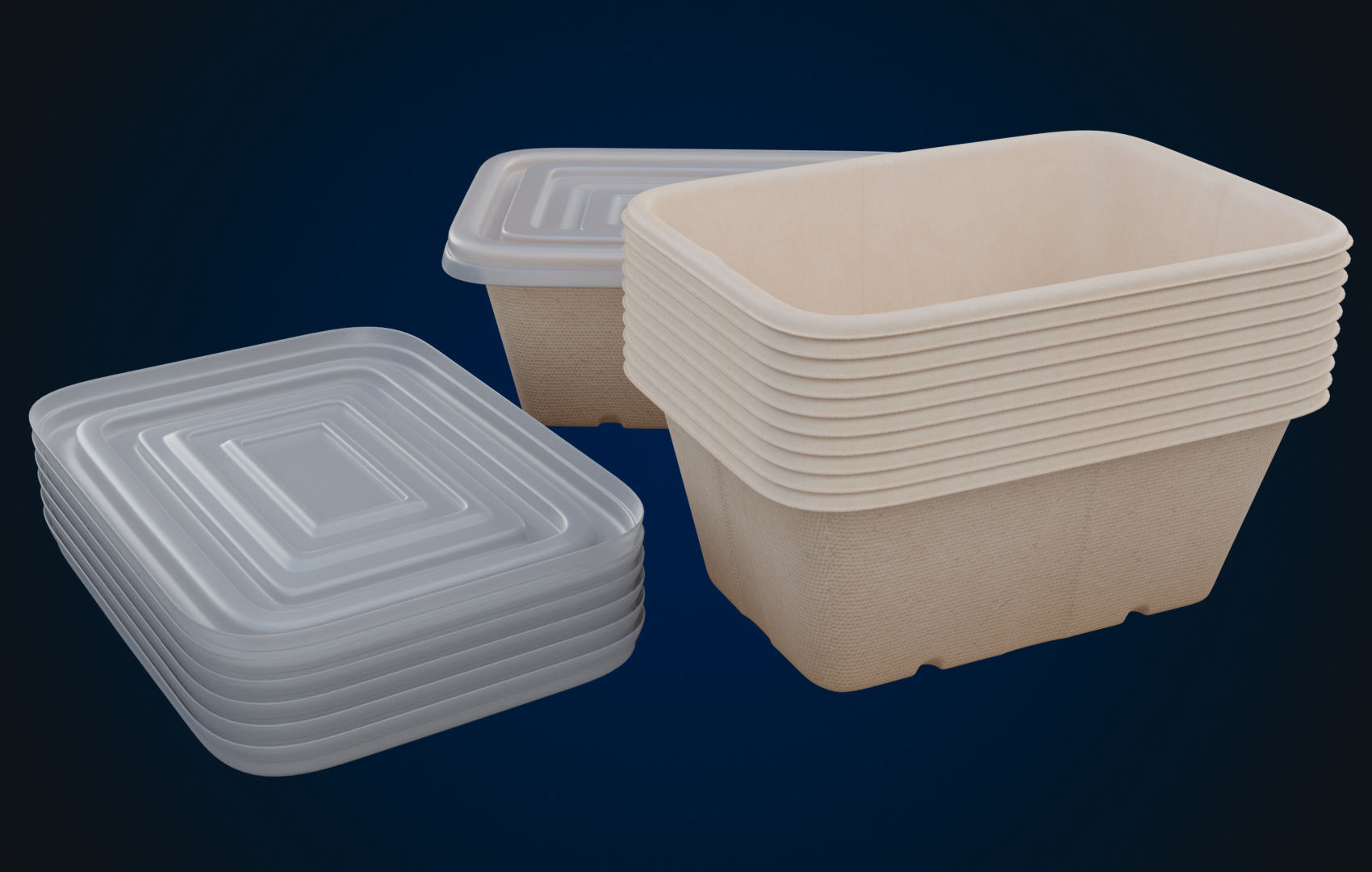 Box Food Cardboard Container - Disposable 3D model_2