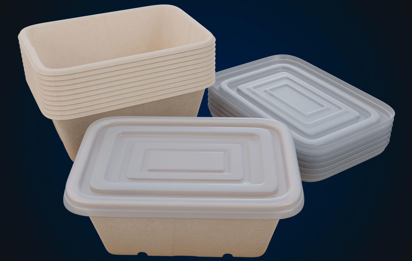 Box Food Cardboard Container - Disposable 3D model_6