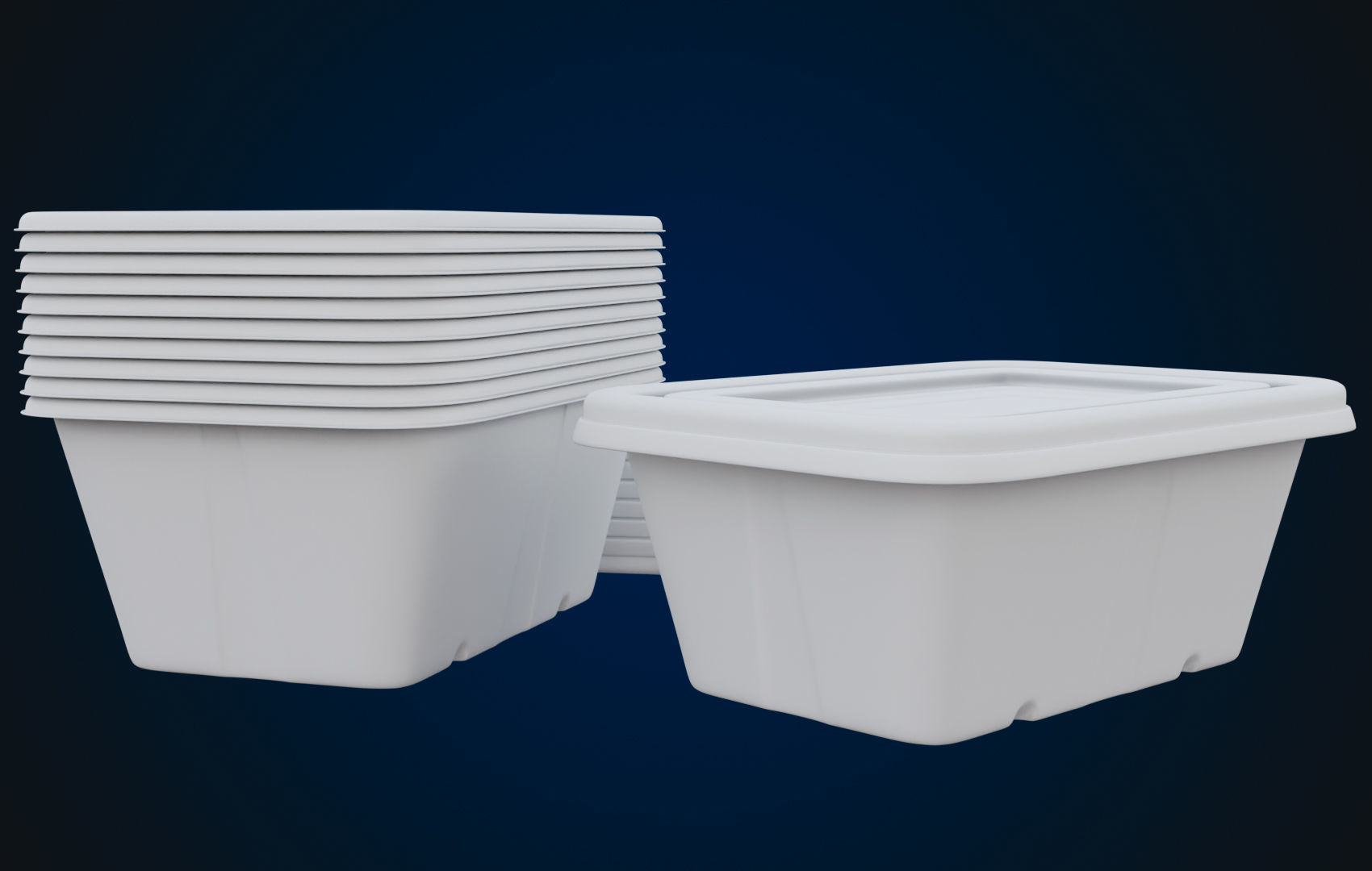 Box Food Cardboard Container - Disposable 3D model_30