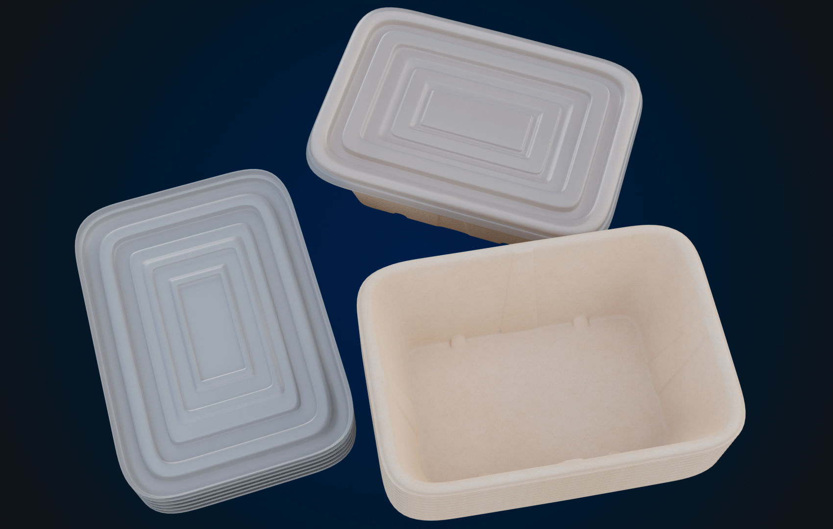 Box Food Cardboard Container - Disposable 3D model_4