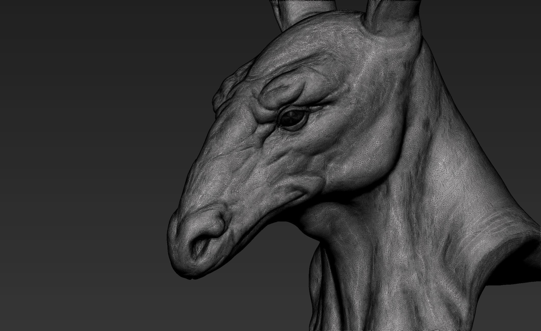 Seth Head 3D model_11