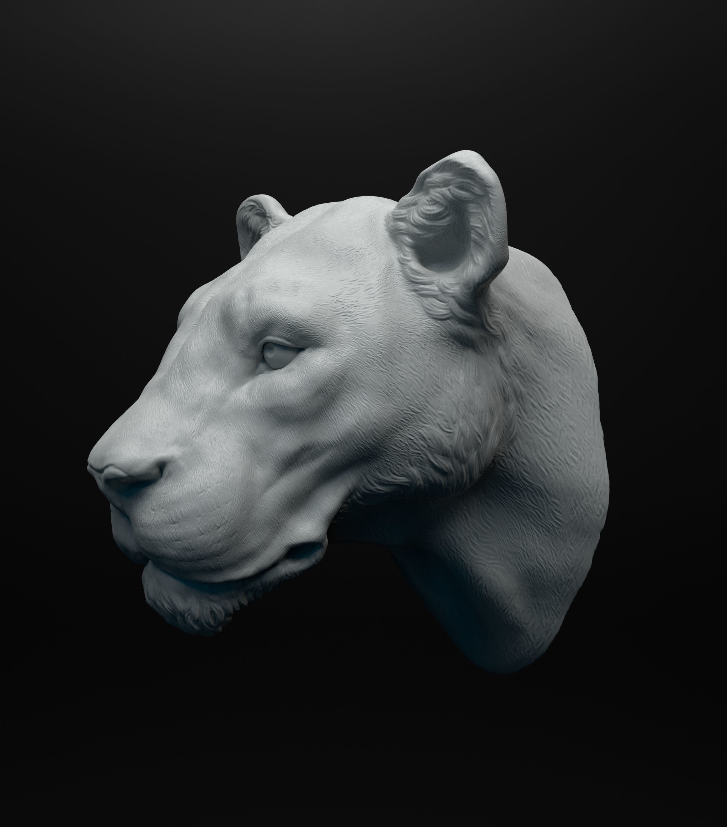 Lioness head intended for 3D printing 3D print model_7