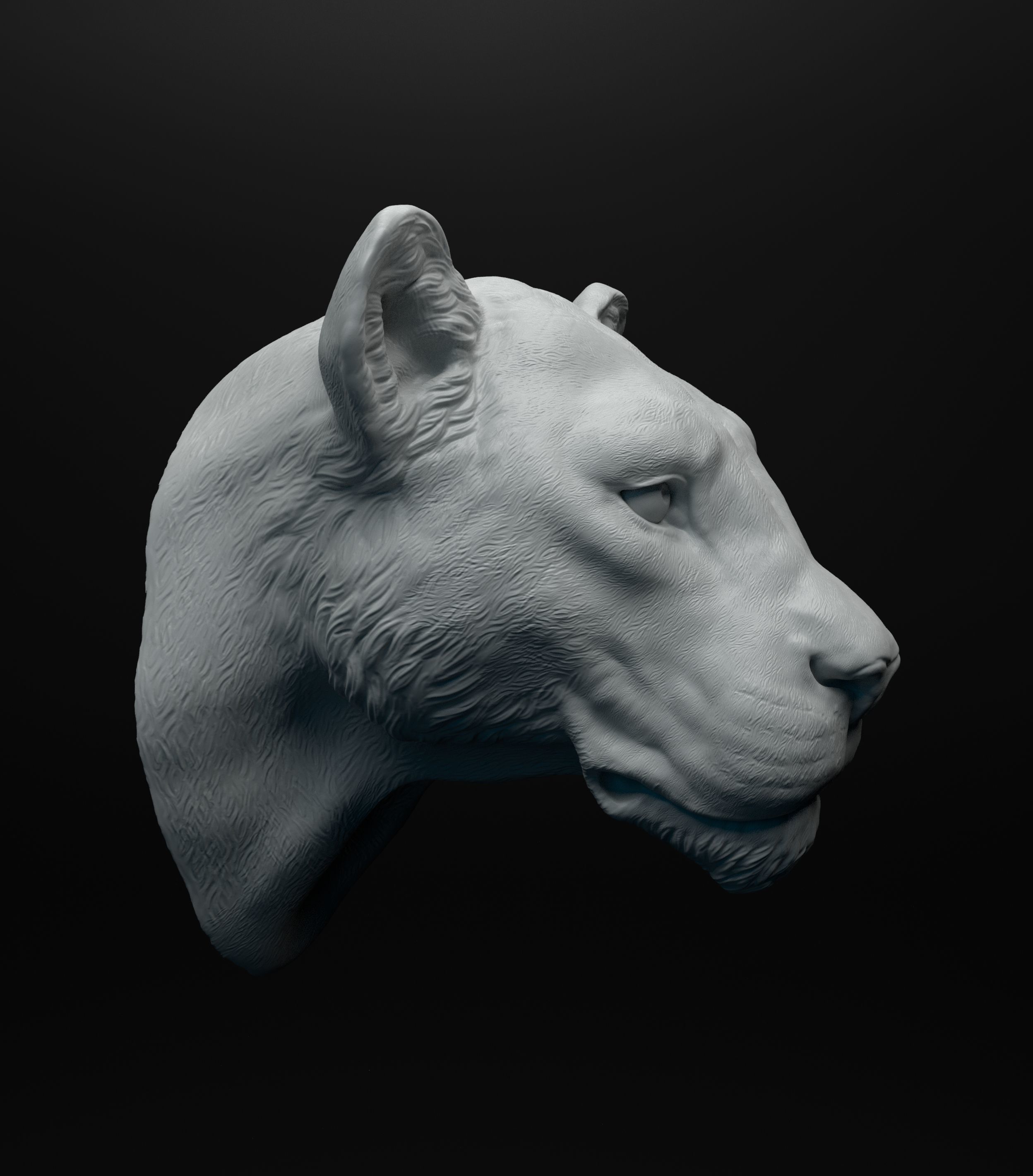 Lioness head intended for 3D printing 3D print model_2