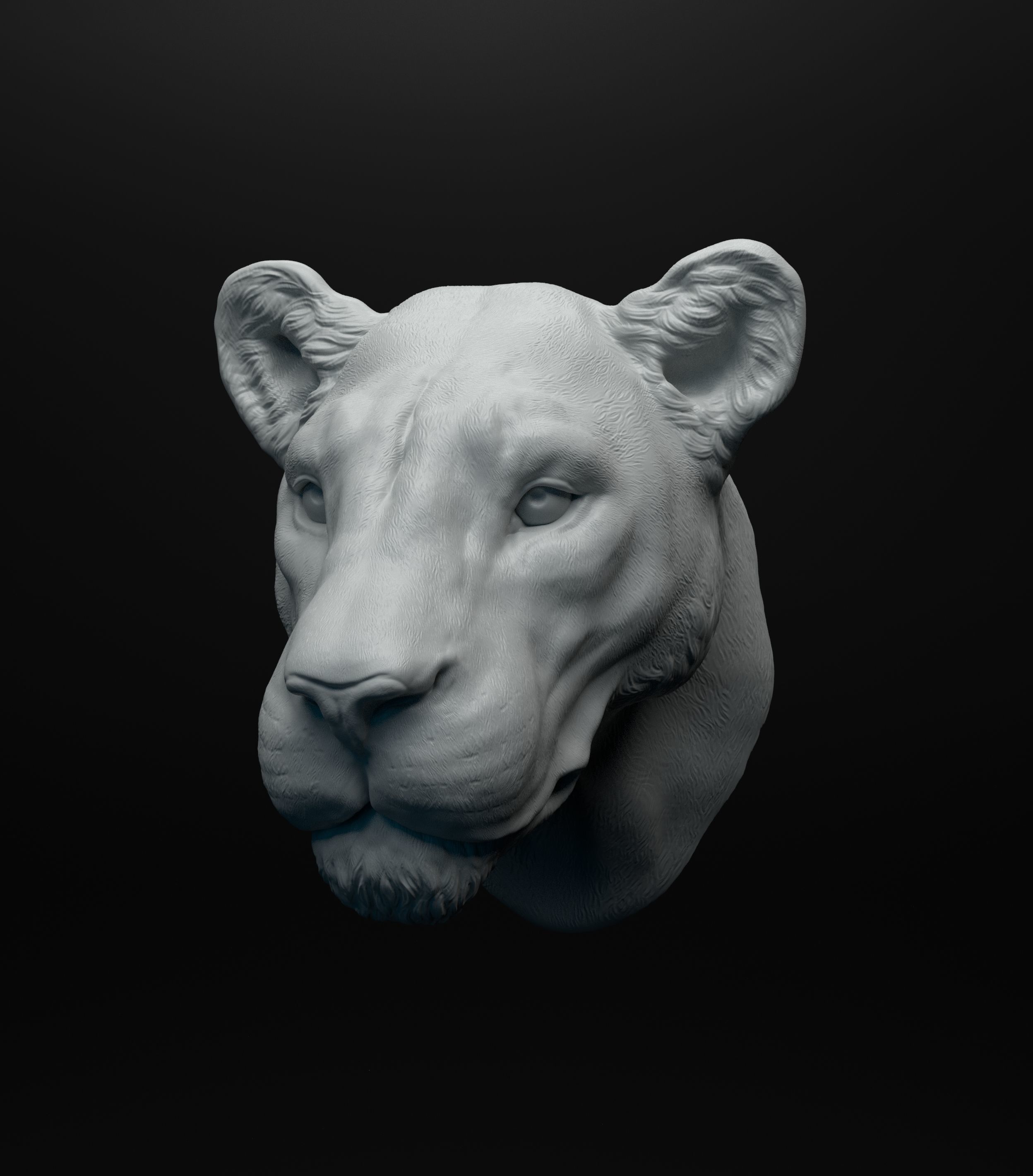 Lioness head intended for 3D printing 3D print model_4