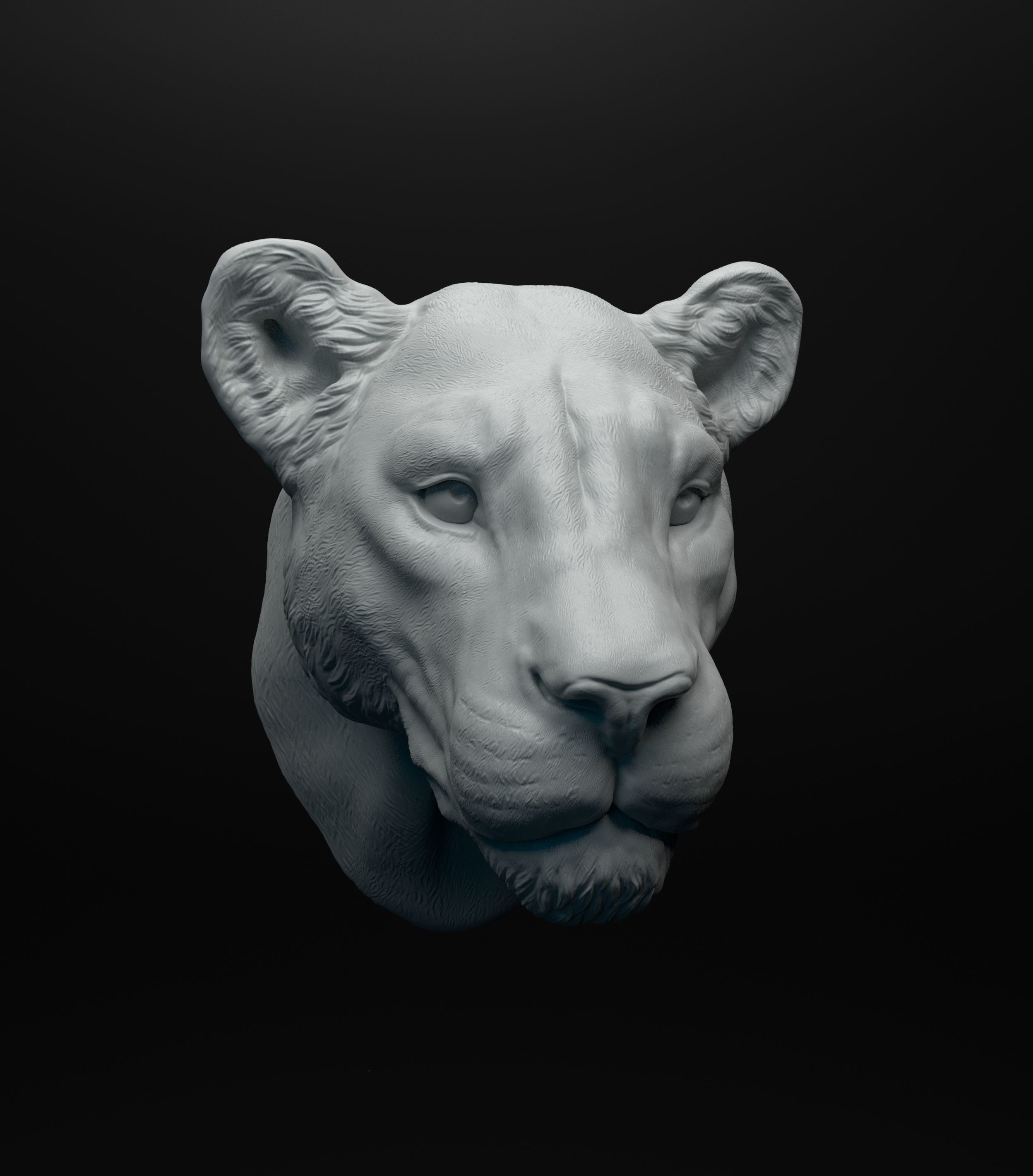 Lioness head intended for 3D printing 3D print model_10