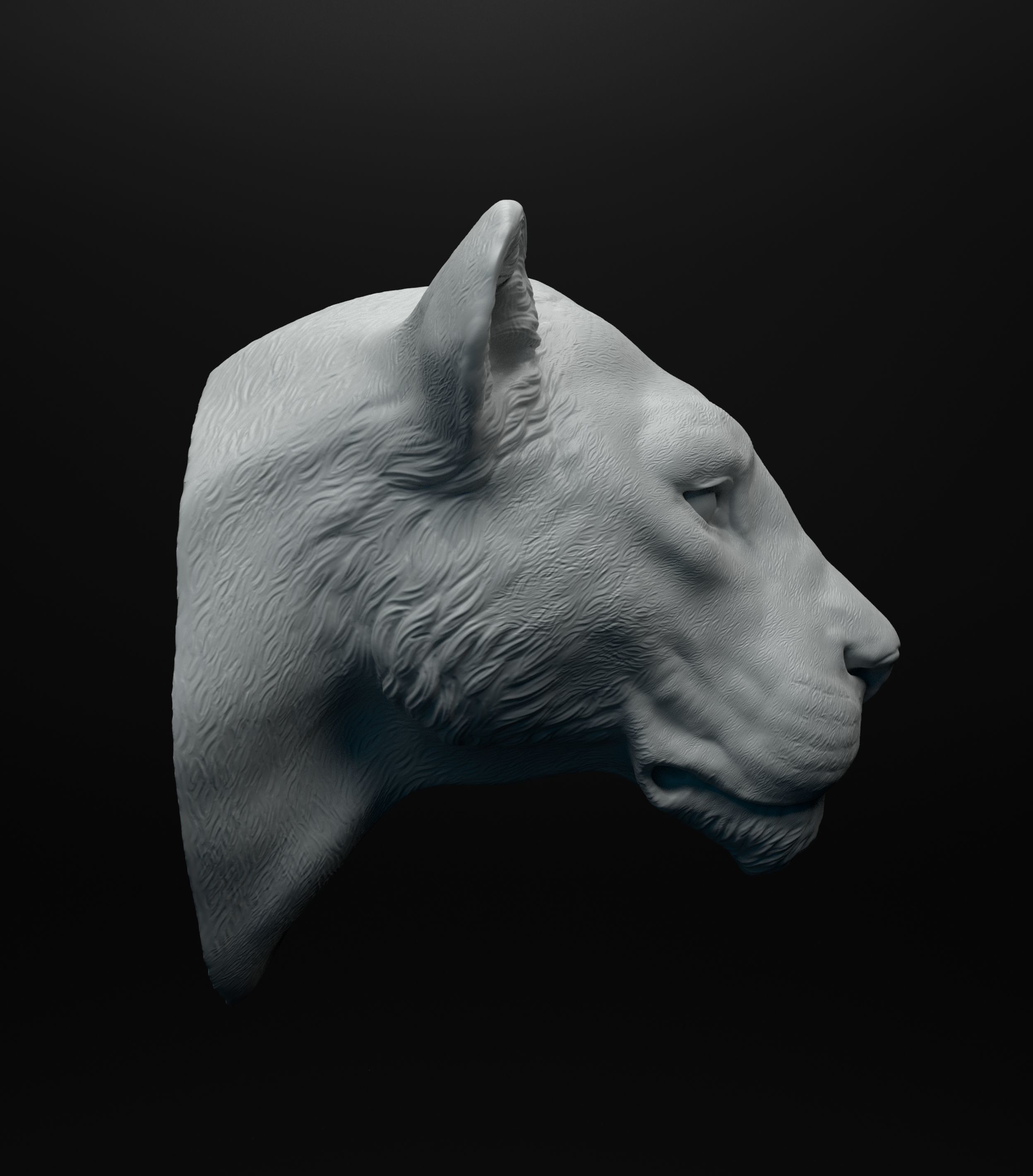 Lioness head intended for 3D printing 3D print model_3