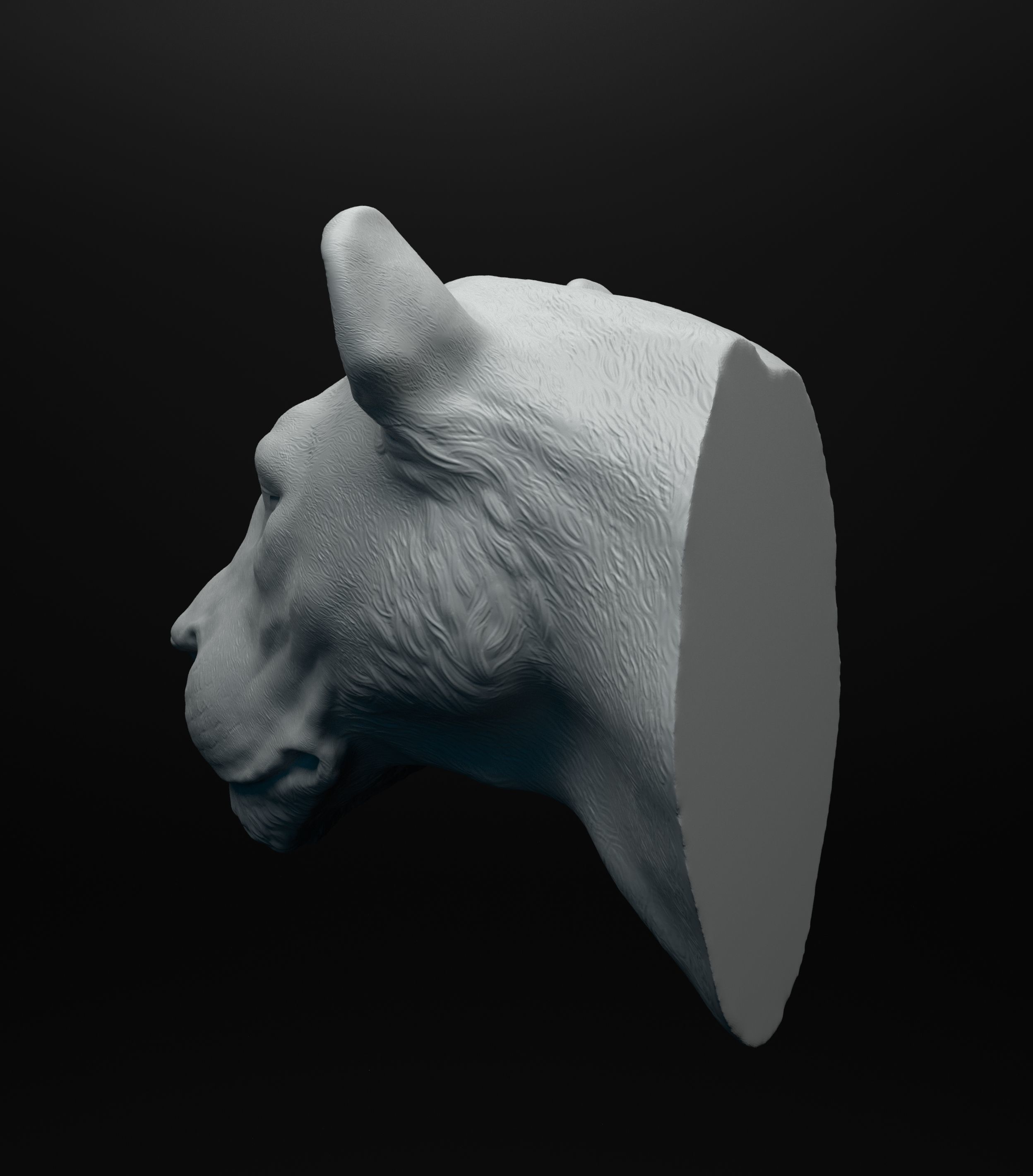 Lioness head intended for 3D printing 3D print model_9