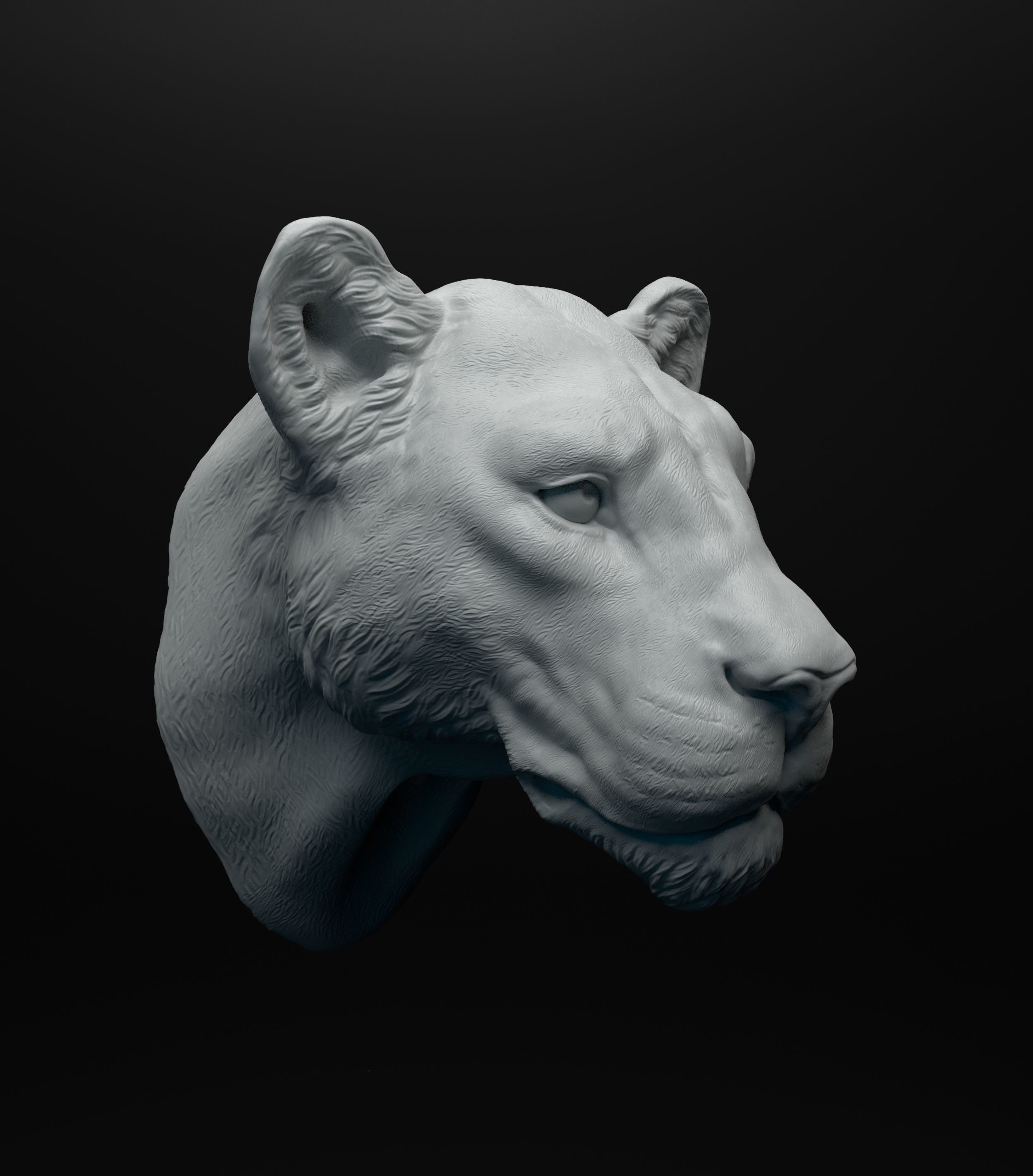 Lioness head intended for 3D printing 3D print model_1
