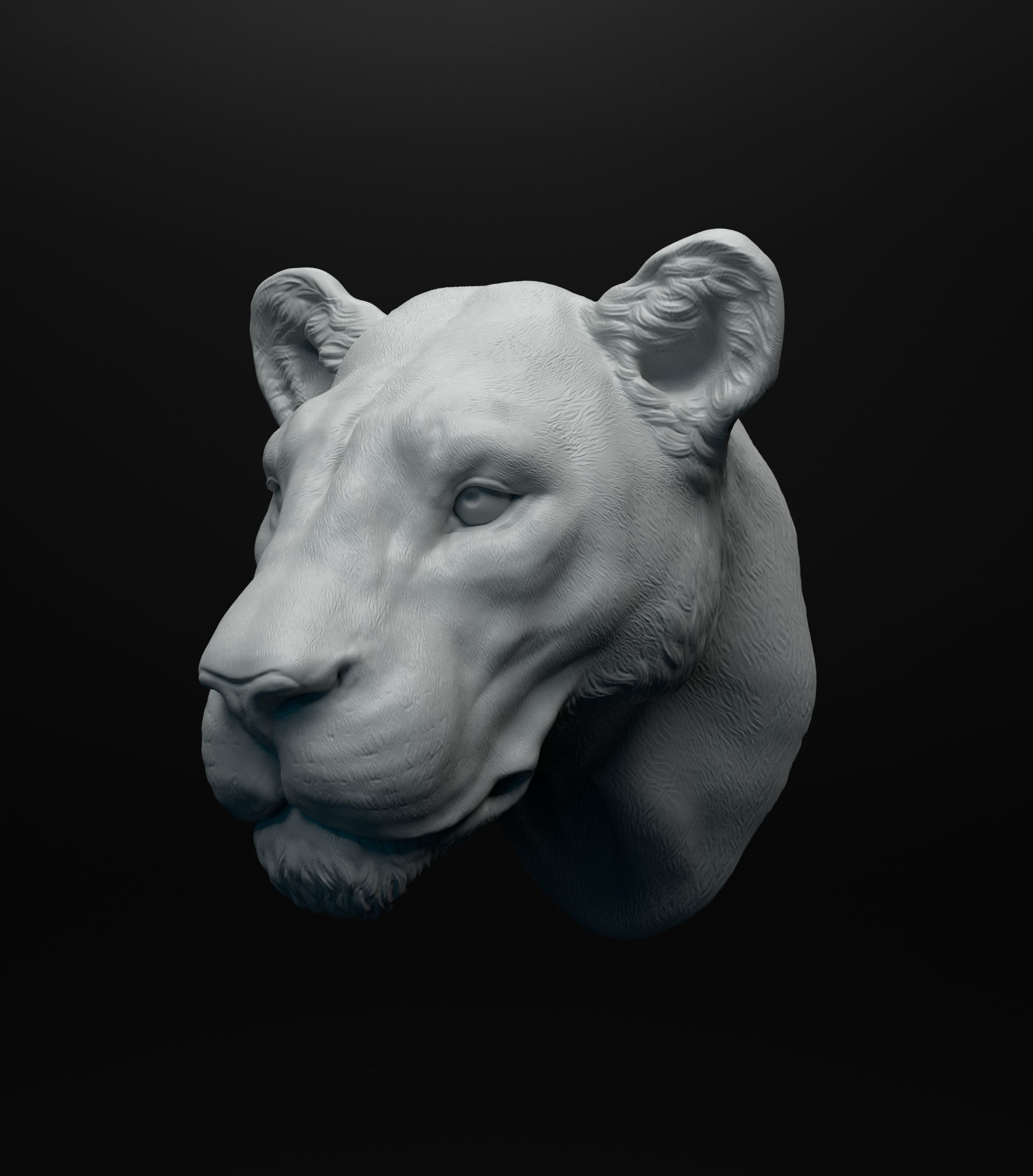 Lioness head intended for 3D printing 3D print model_5