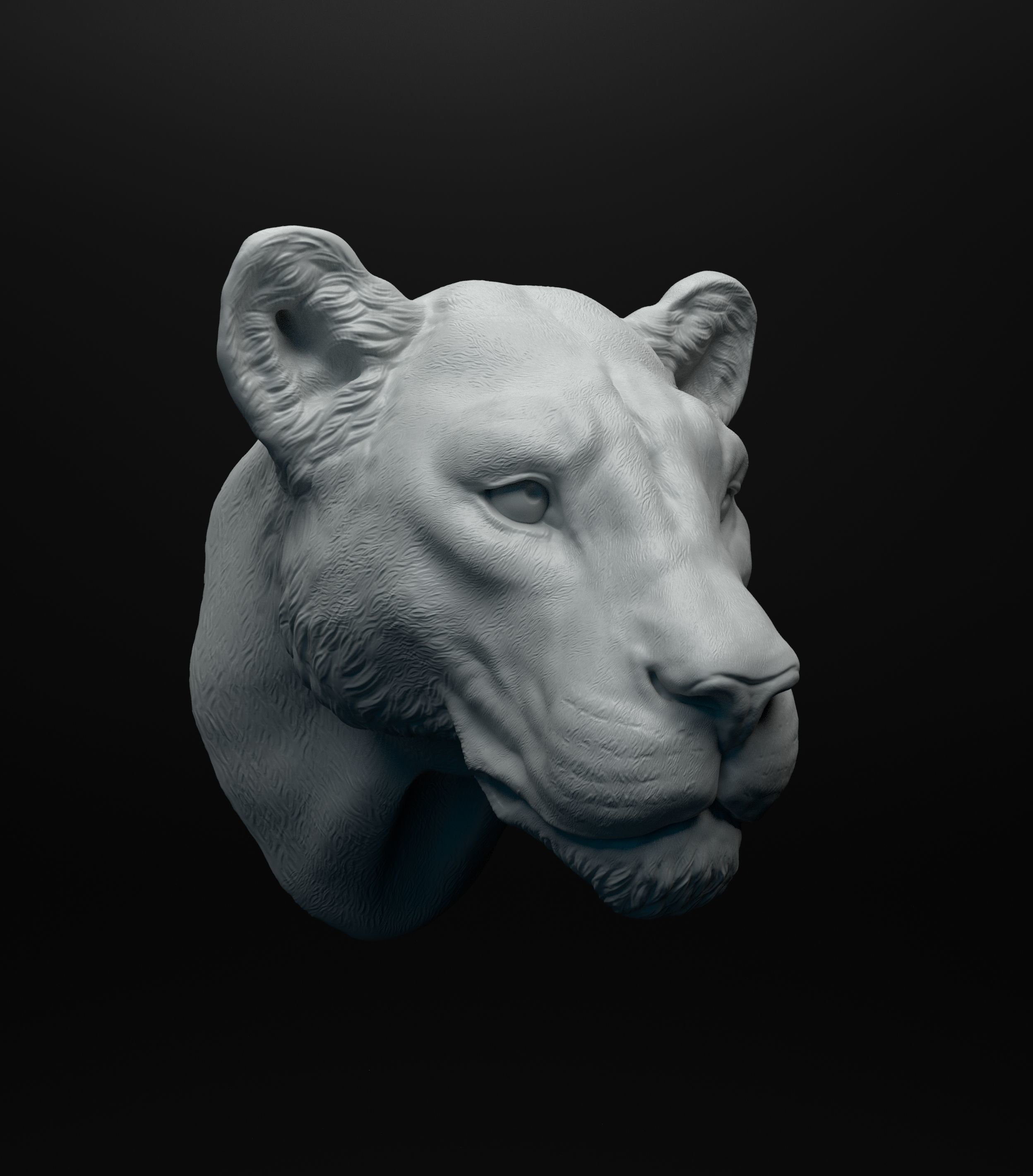 Lioness head intended for 3D printing 3D print model_11