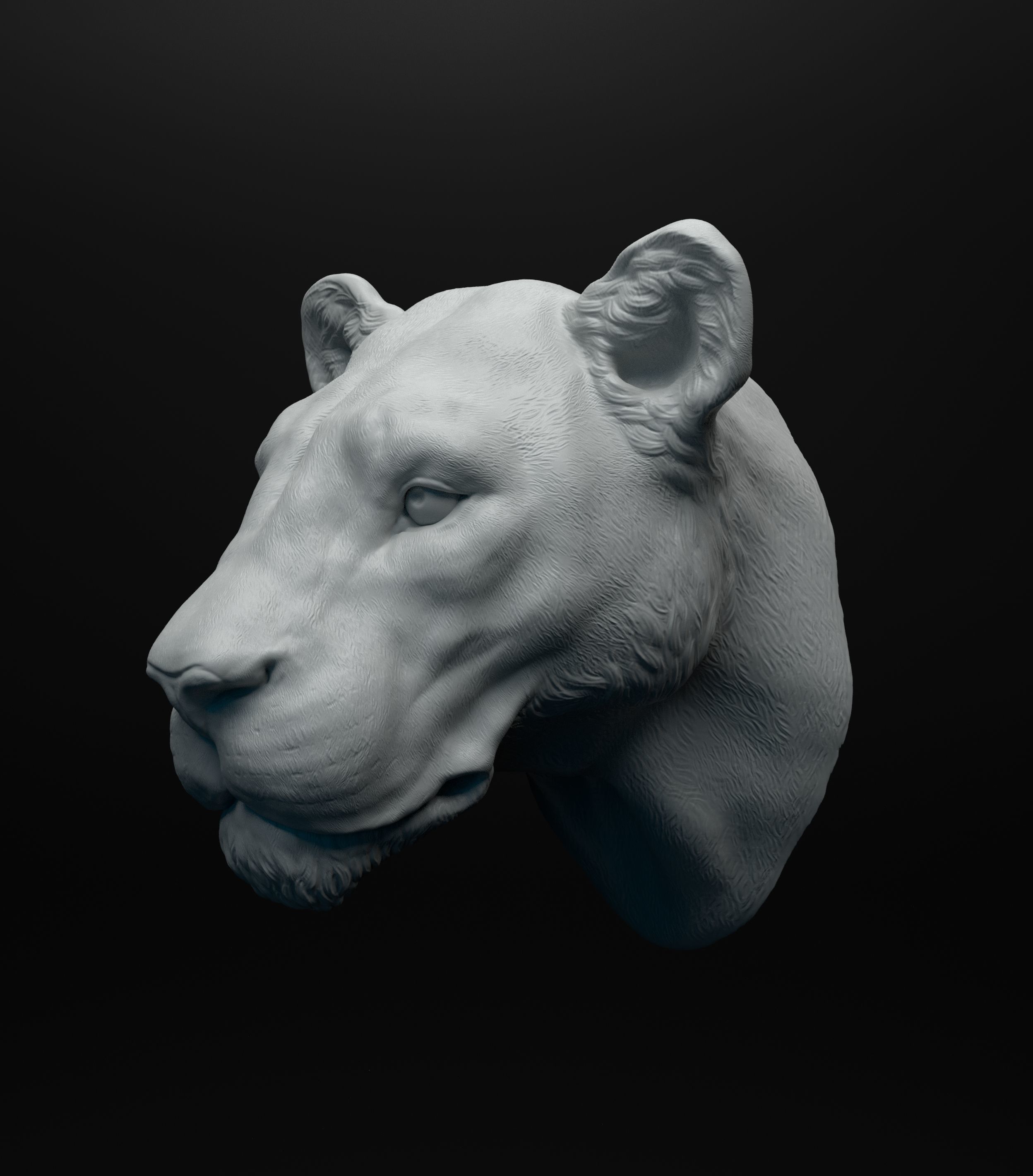 Lioness head intended for 3D printing 3D print model_6