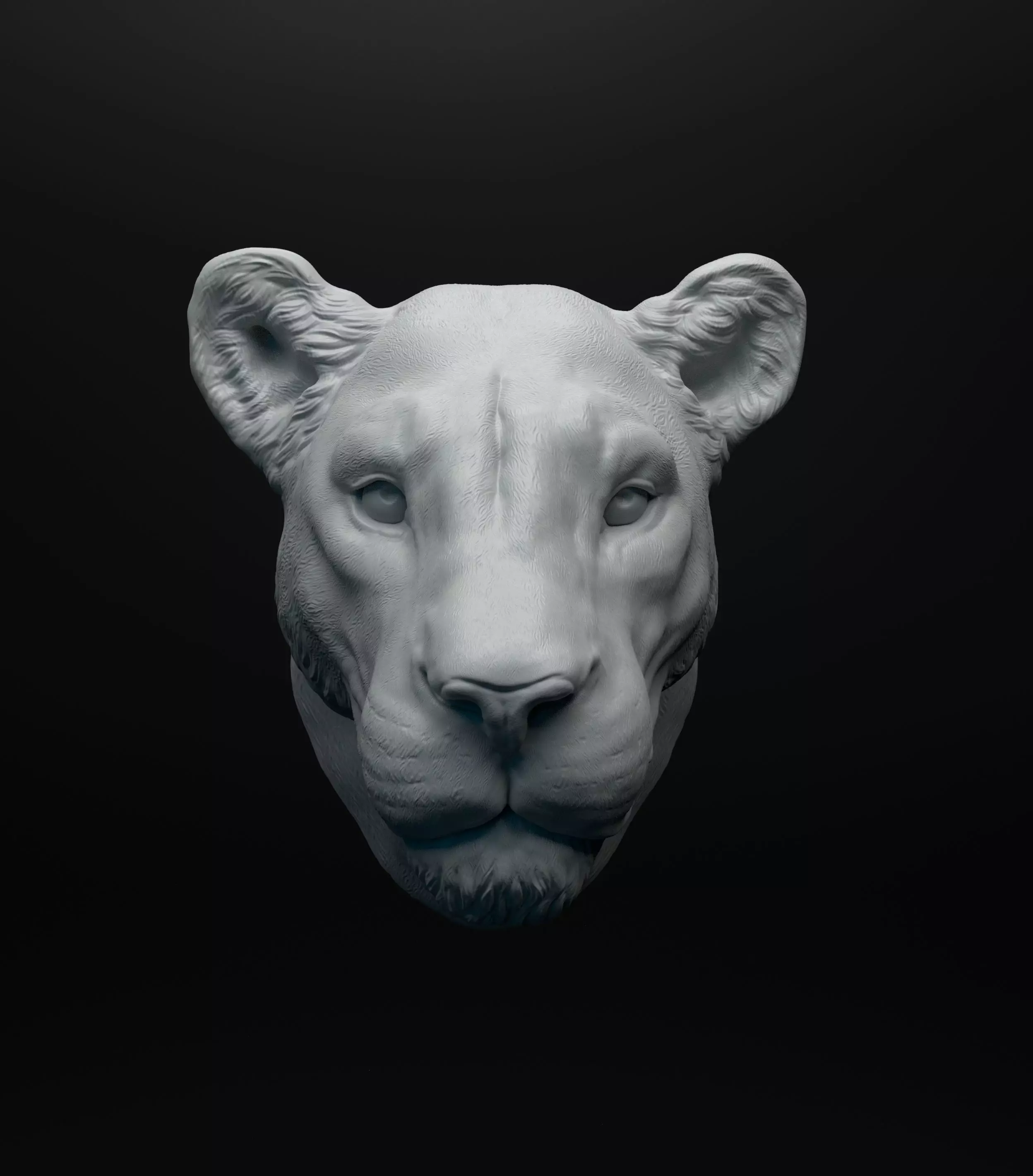 Lioness head intended for 3D printing 3D print model_0