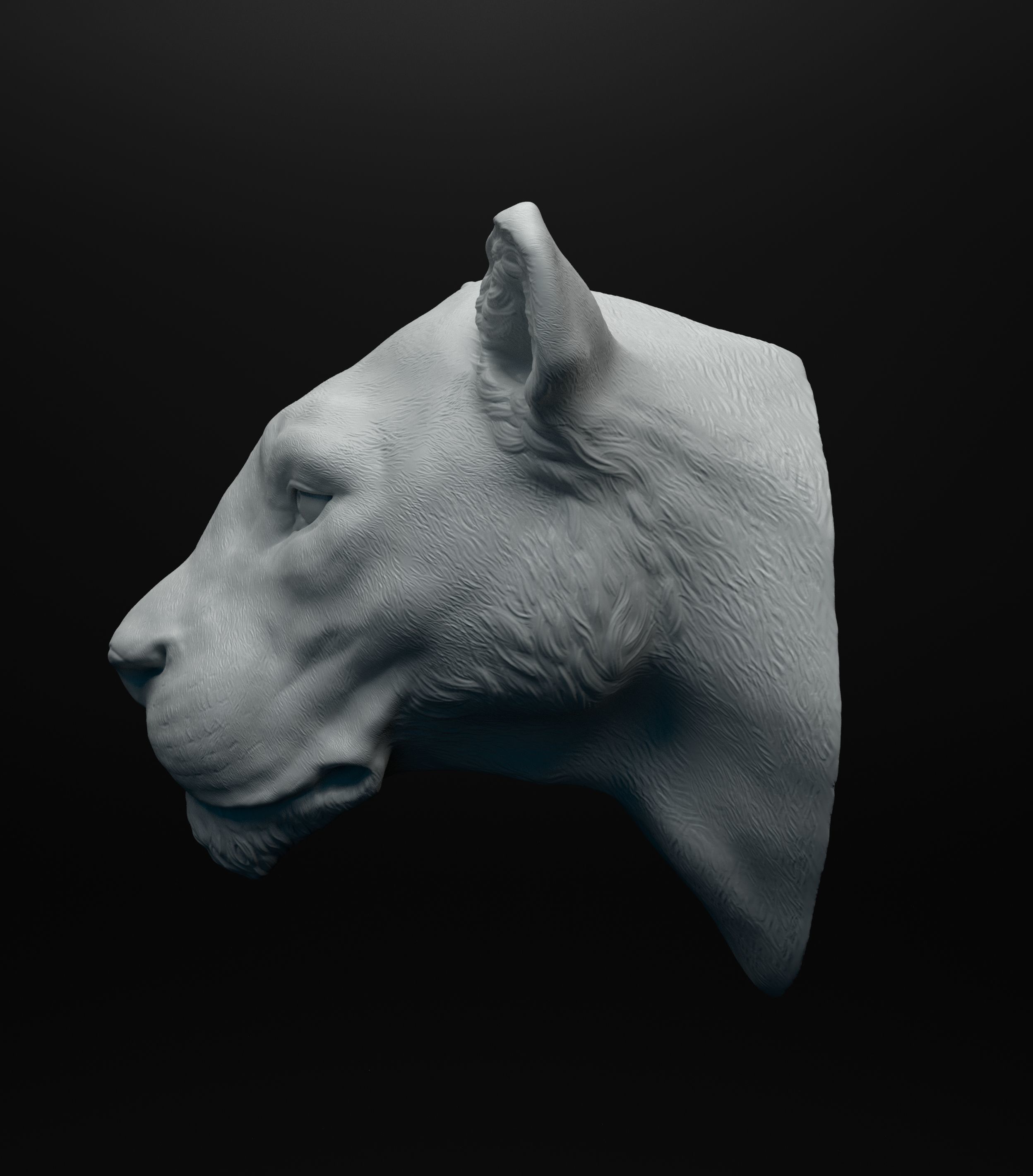 Lioness head intended for 3D printing 3D print model_8