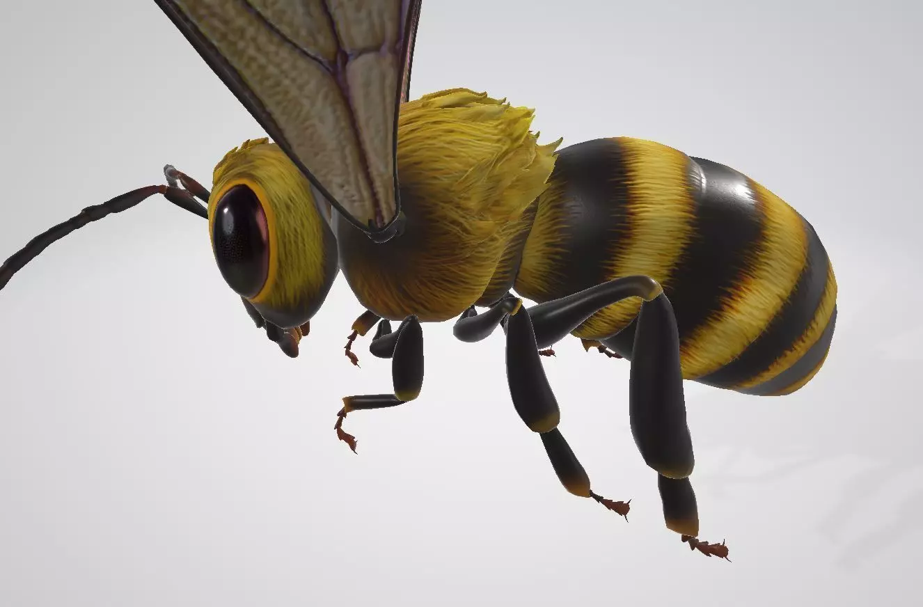 Bees that can fly 3D model_0