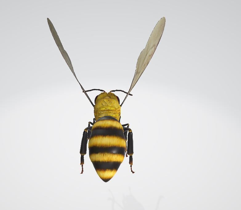 Bees that can fly 3D model_1
