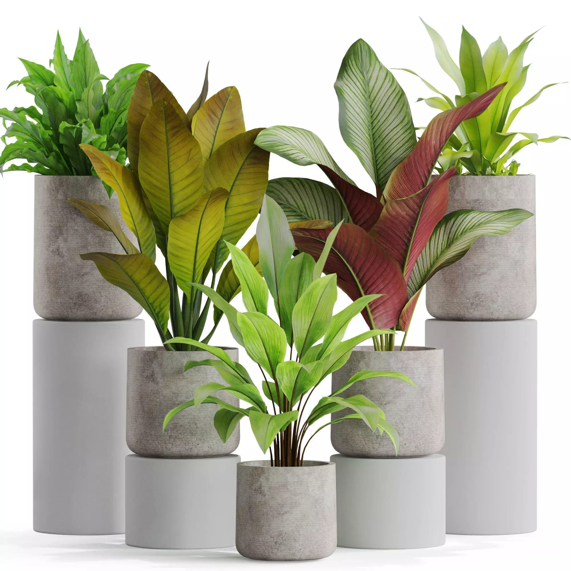 Plants collection 556 3D model_0