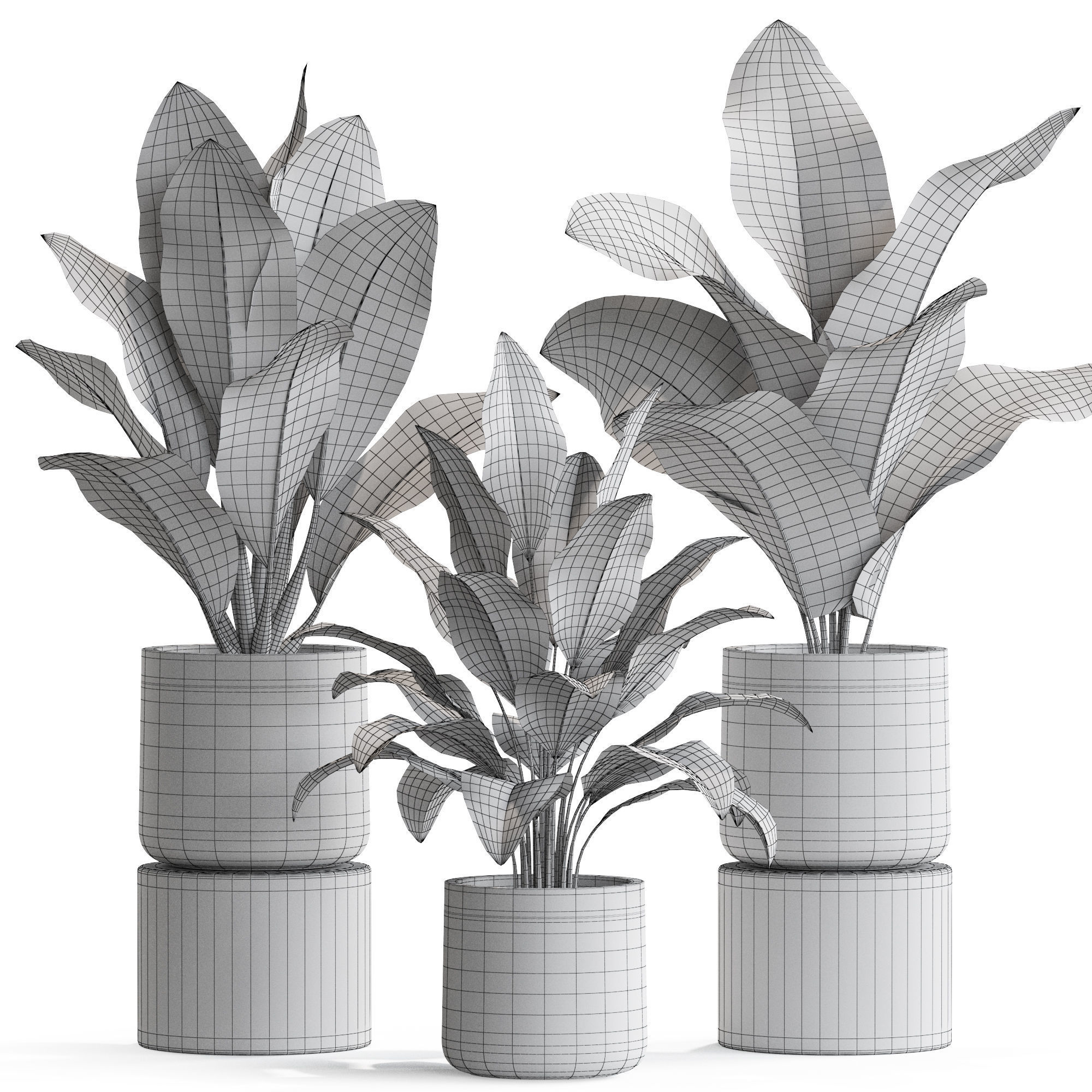 Plants collection 556 3D model_3