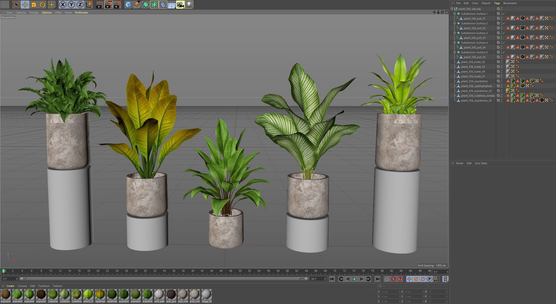 Plants collection 556 3D model_6