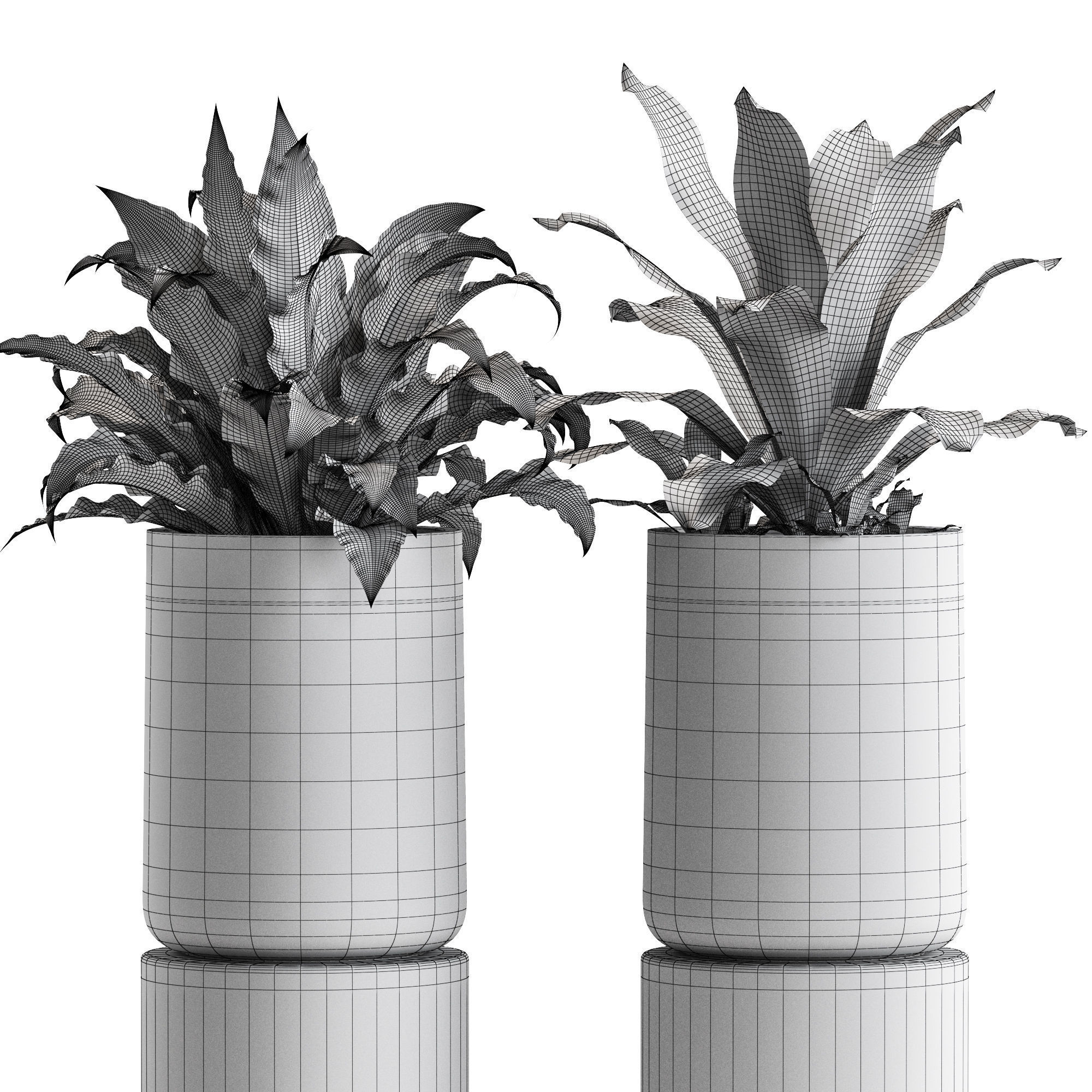 Plants collection 556 3D model_4