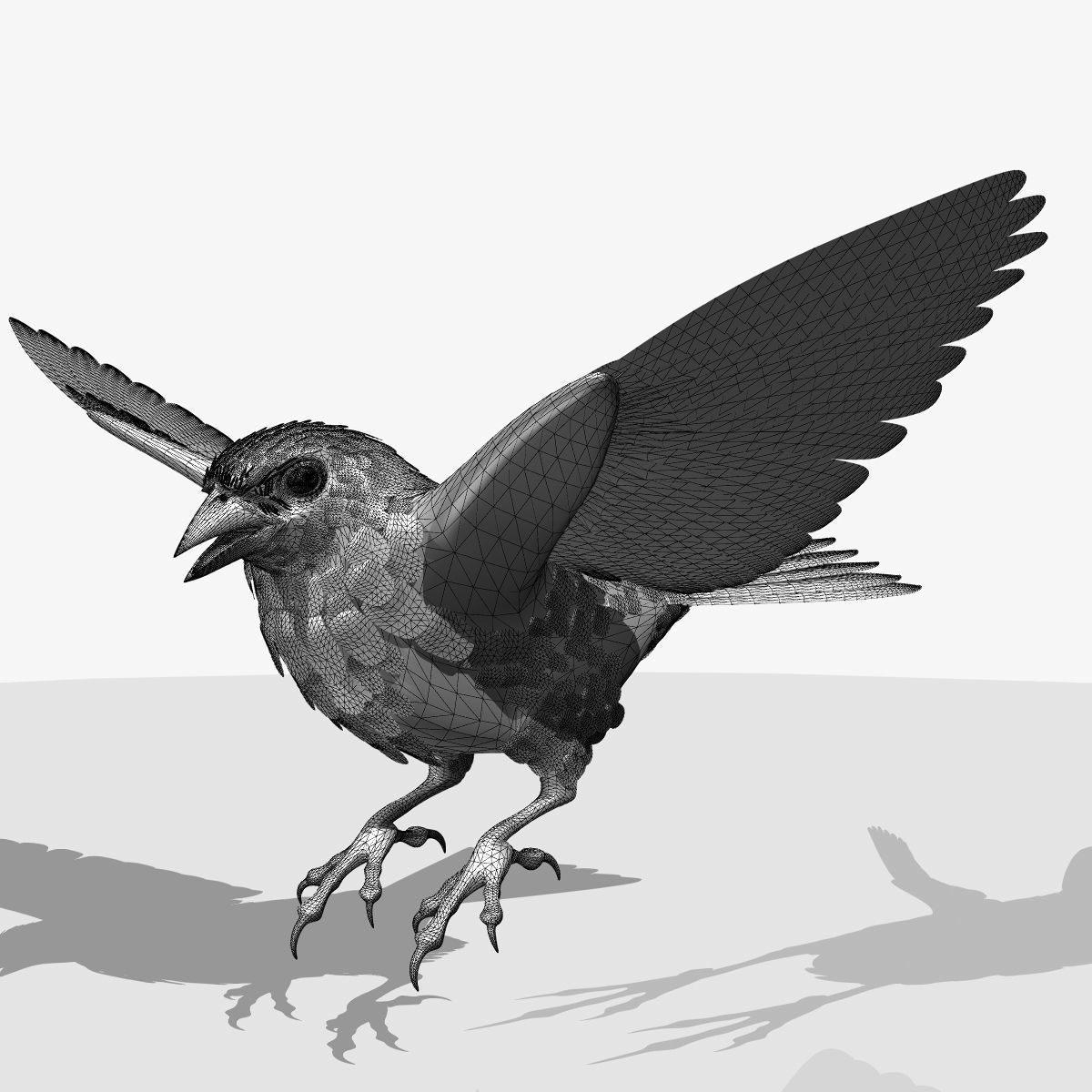 Animated birds Low-poly 3D model_4