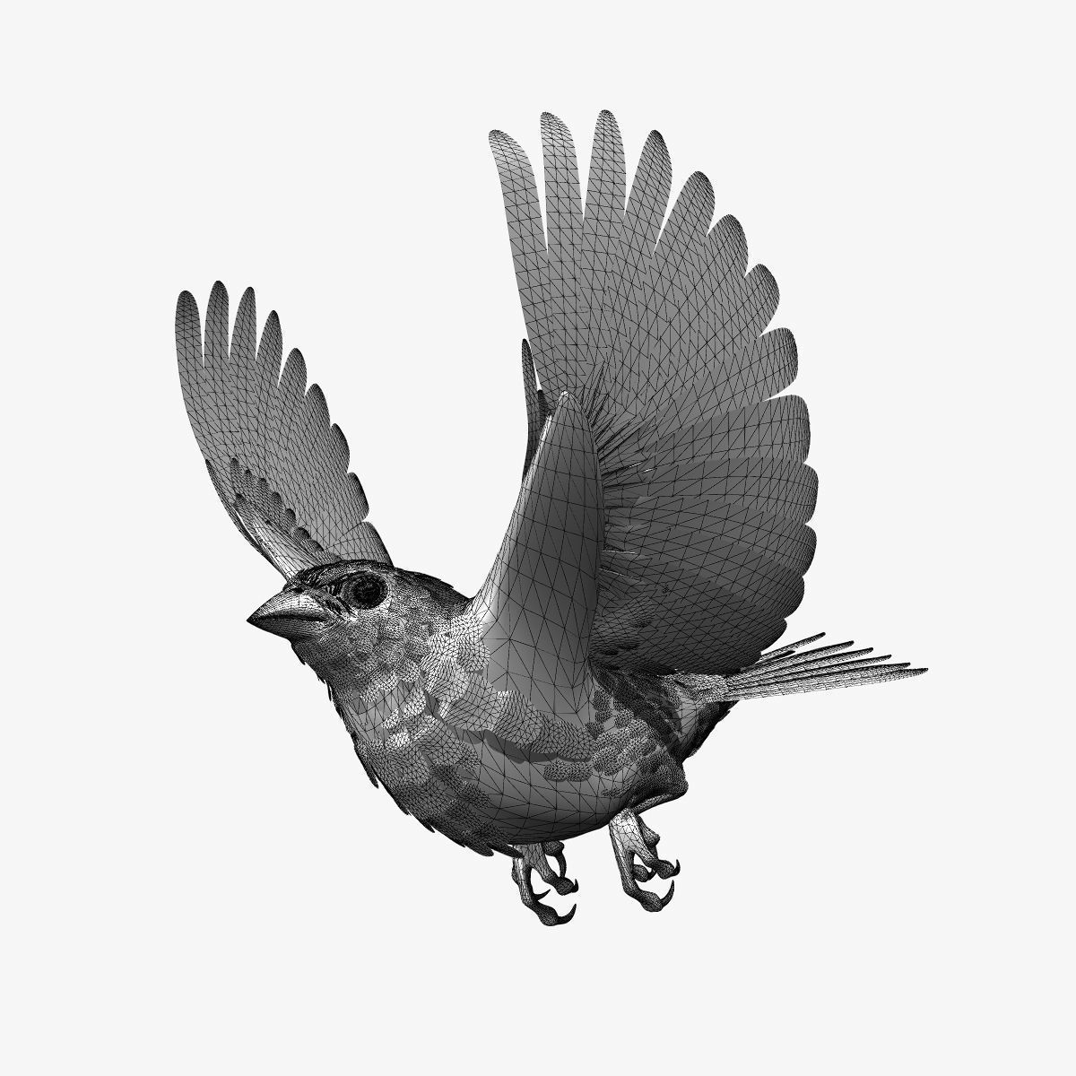 Animated birds Low-poly 3D model_2
