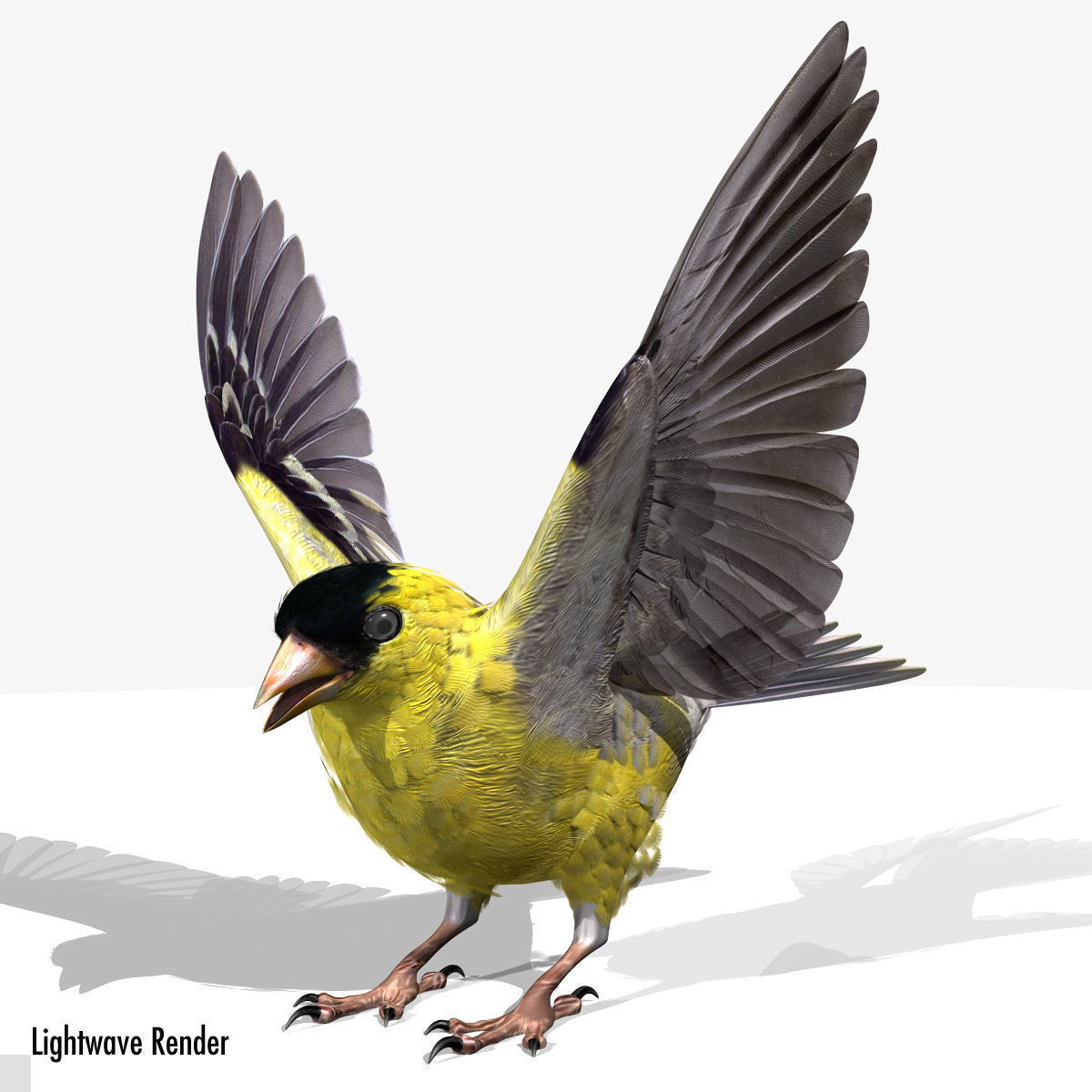 Animated birds Low-poly 3D model_6