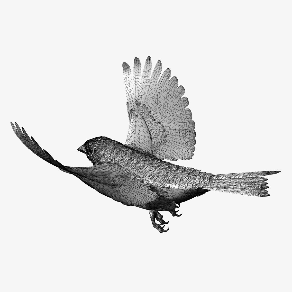Animated birds Low-poly 3D model_3