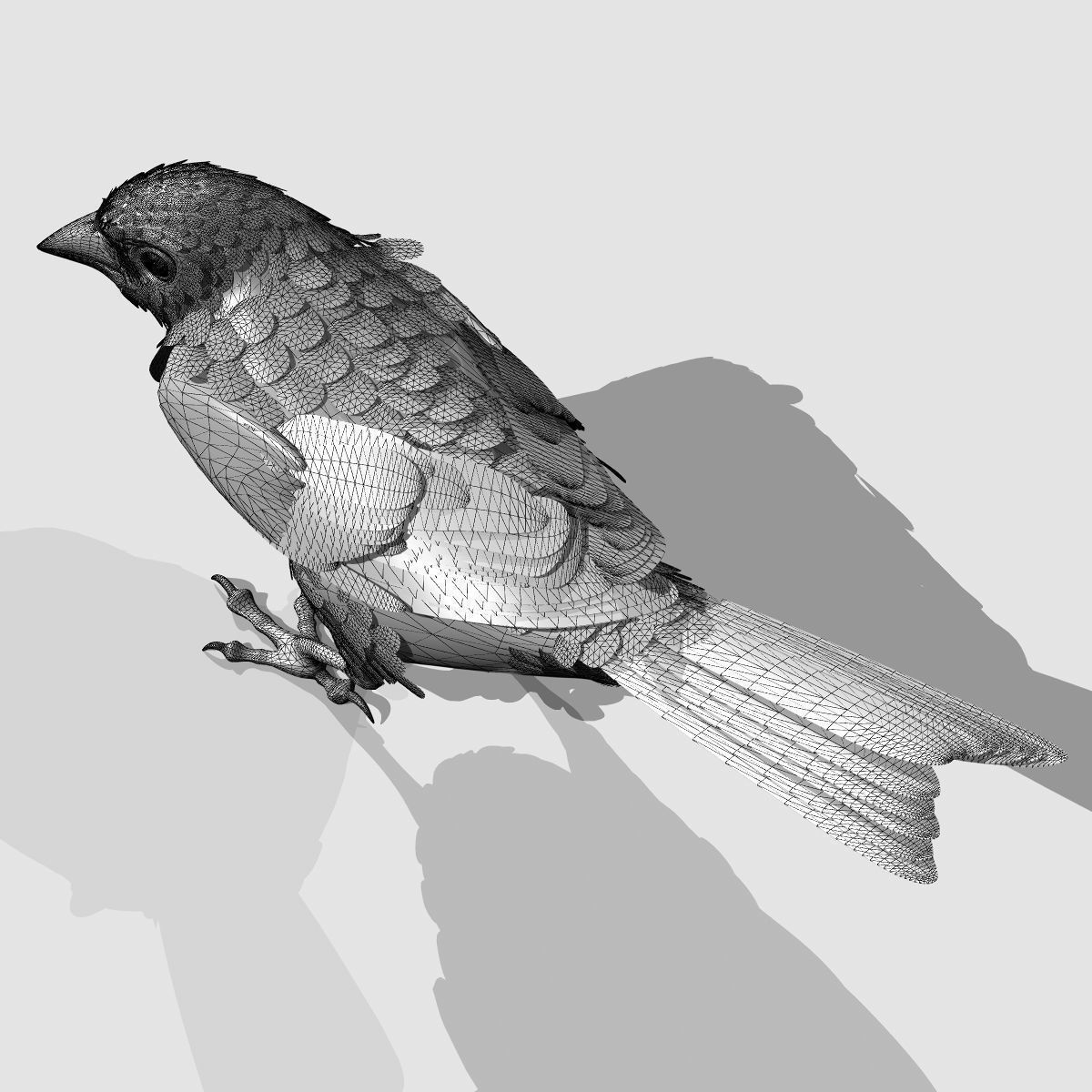 Animated birds Low-poly 3D model_5