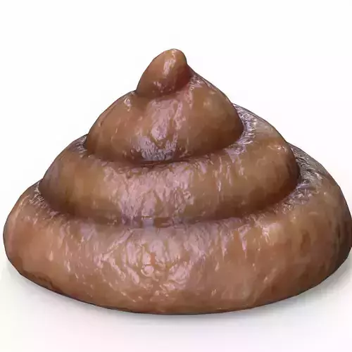 Shit Natural Crap Fecal  Low-poly 3D model
