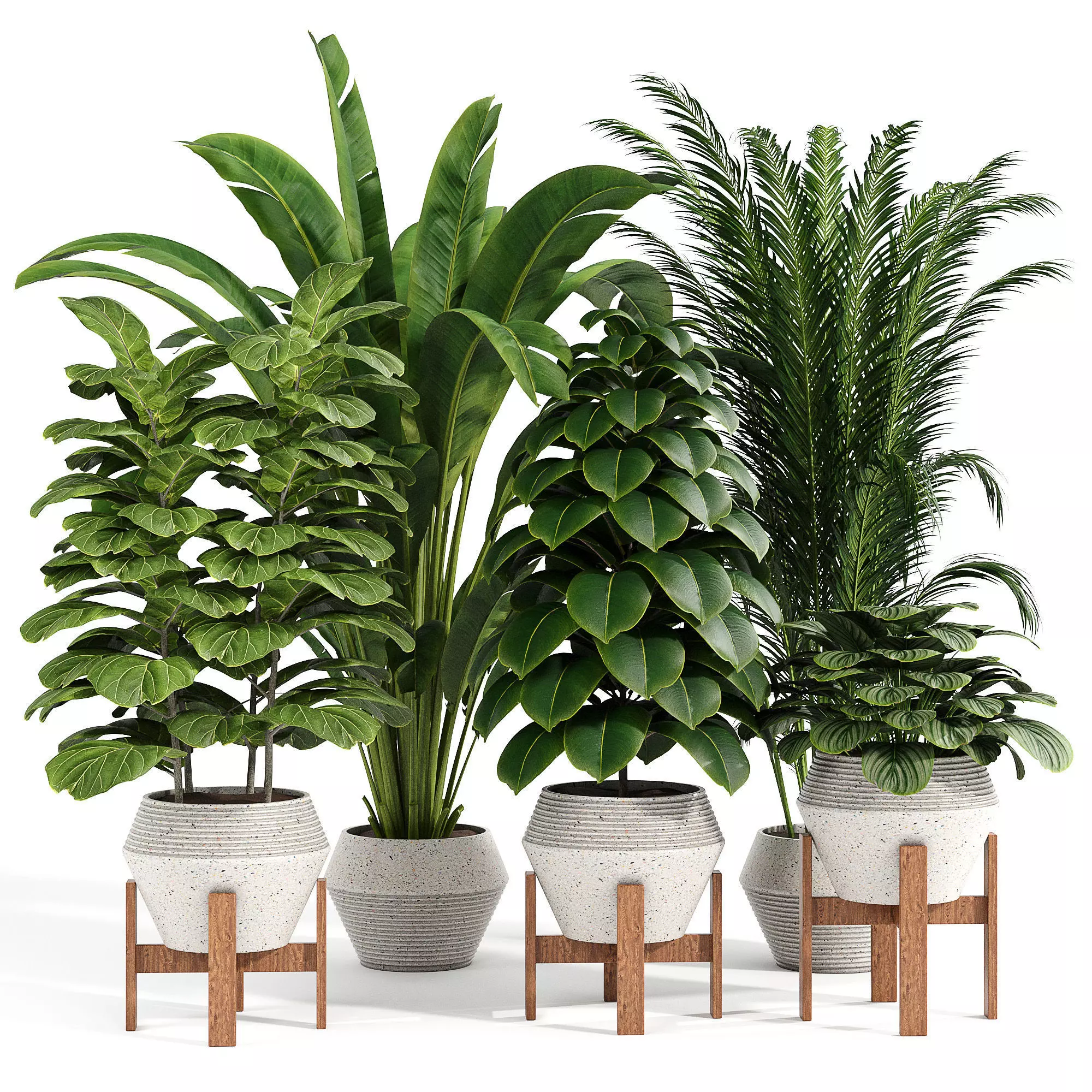 Indoor plant collection 09 3D model