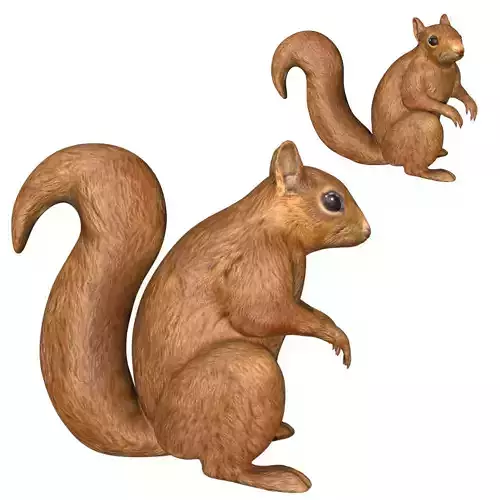 Squirrel Low-poly 3D model