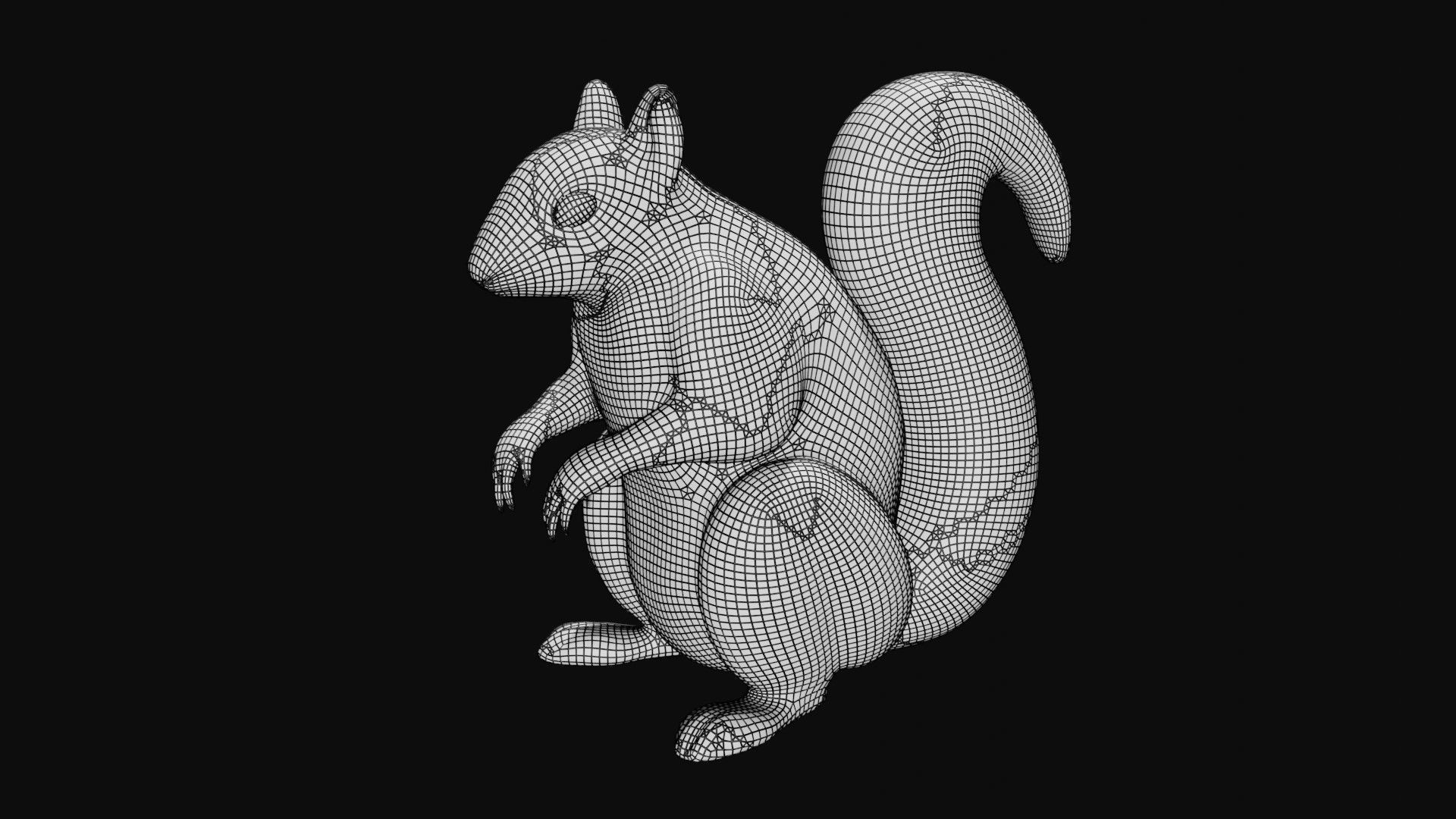 Squirrel Low-poly 3D model_8