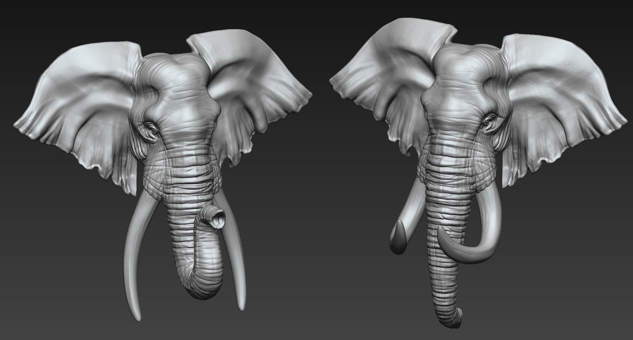 Elephant Head  Two Stye 3D print model_2